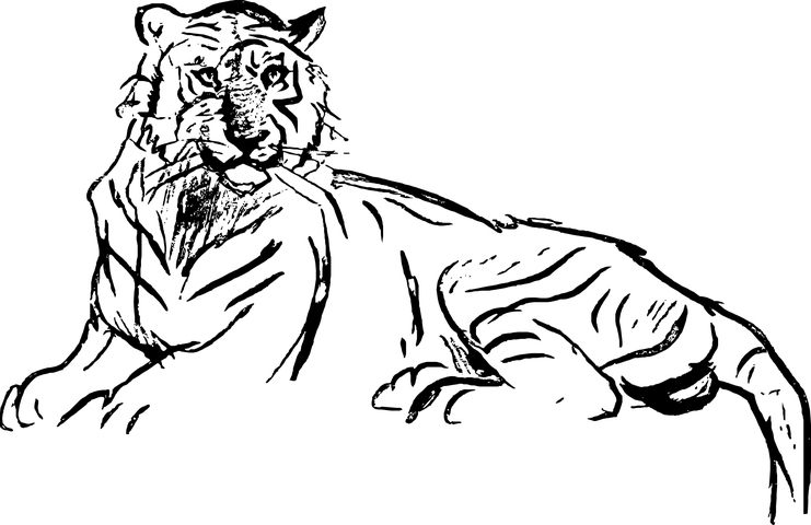 chalk-out-3090394__480.webp