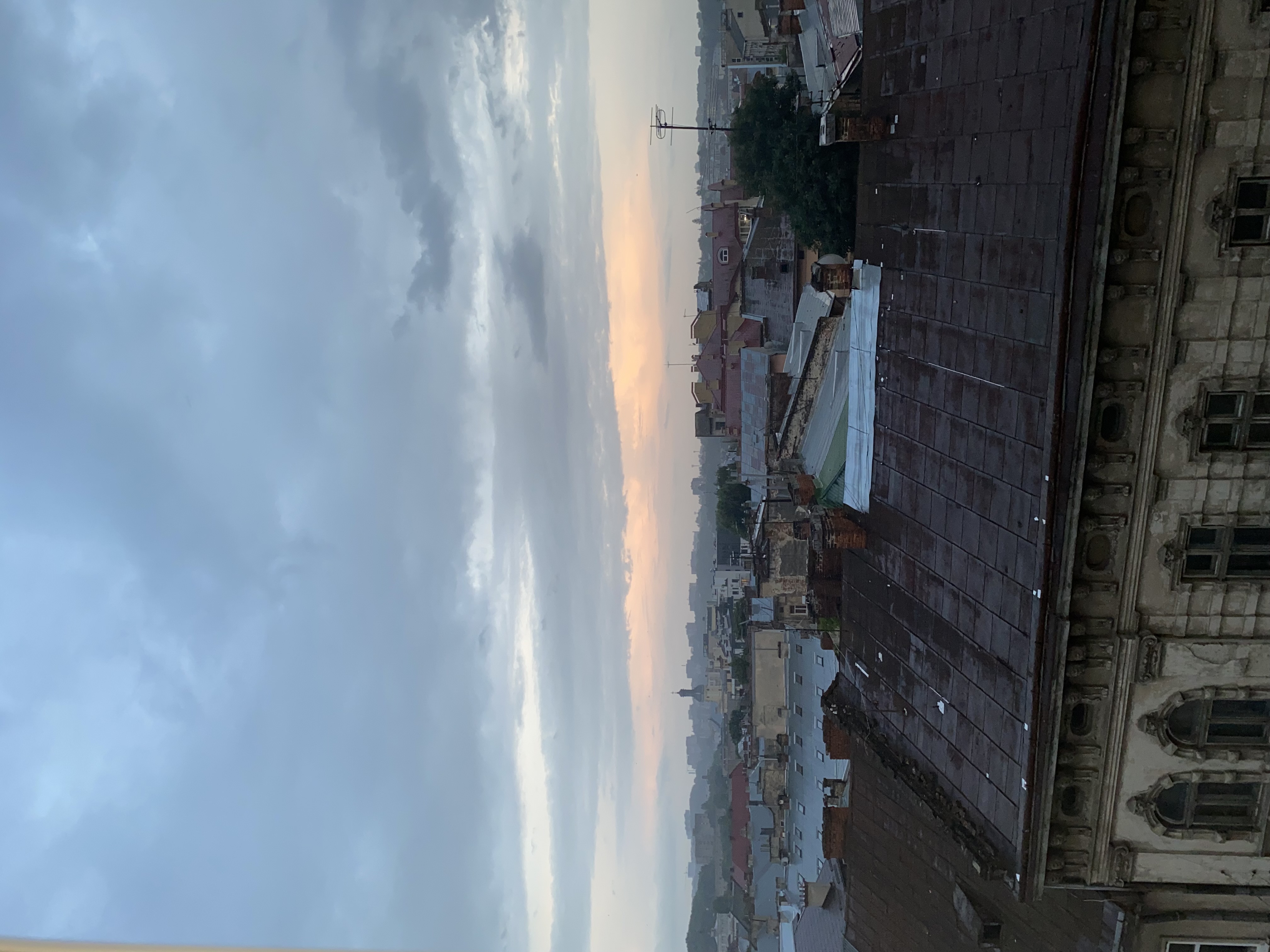 IMG_2597.jpeg