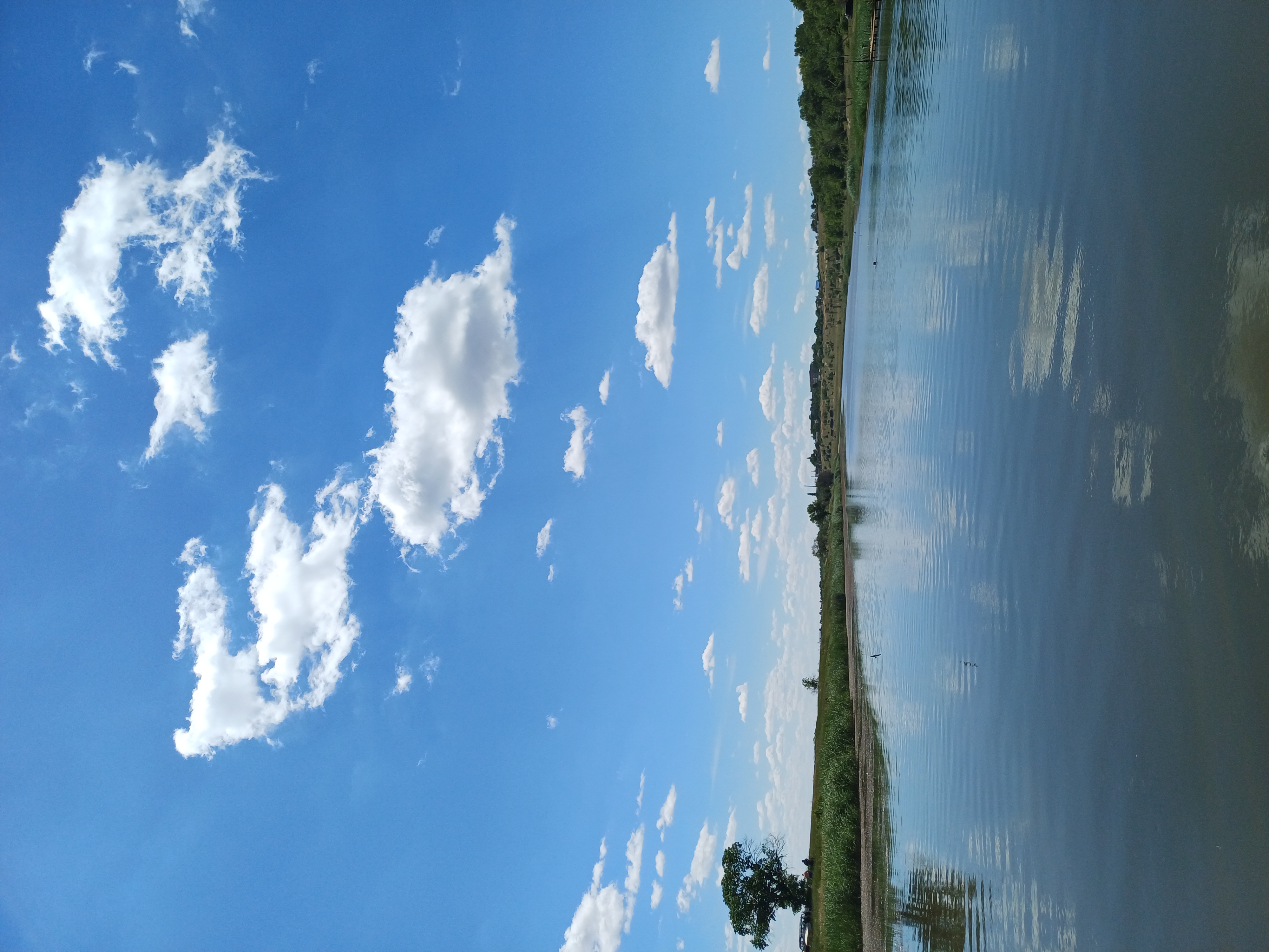 20260614_113820.jpg