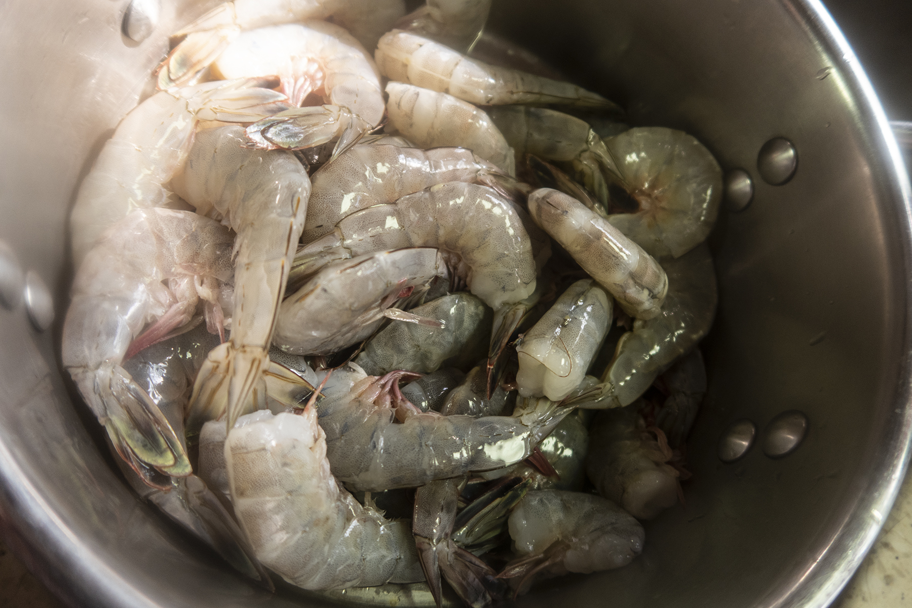 Shrimp_1.jpg