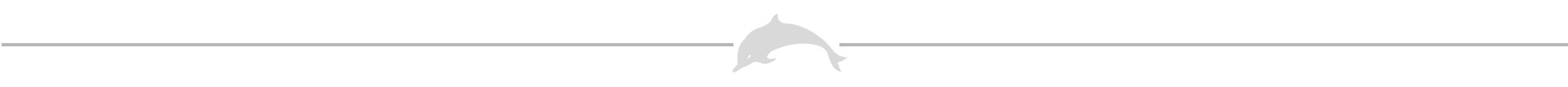 separadorBig.png