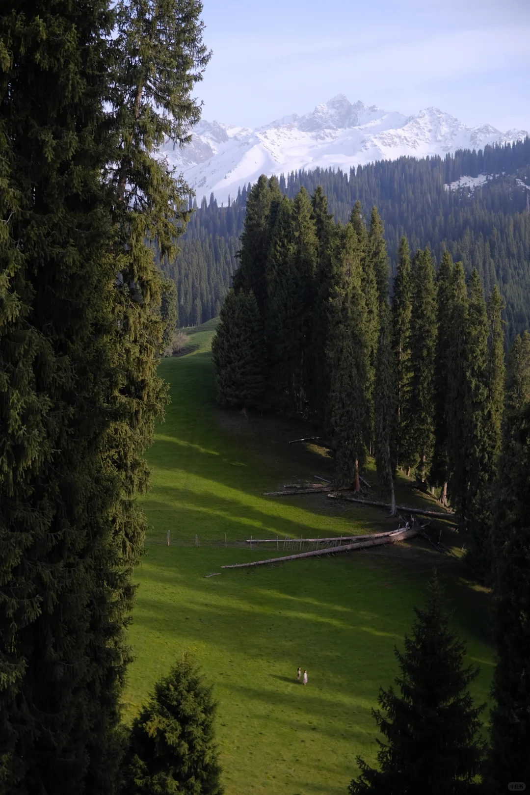 178.webp