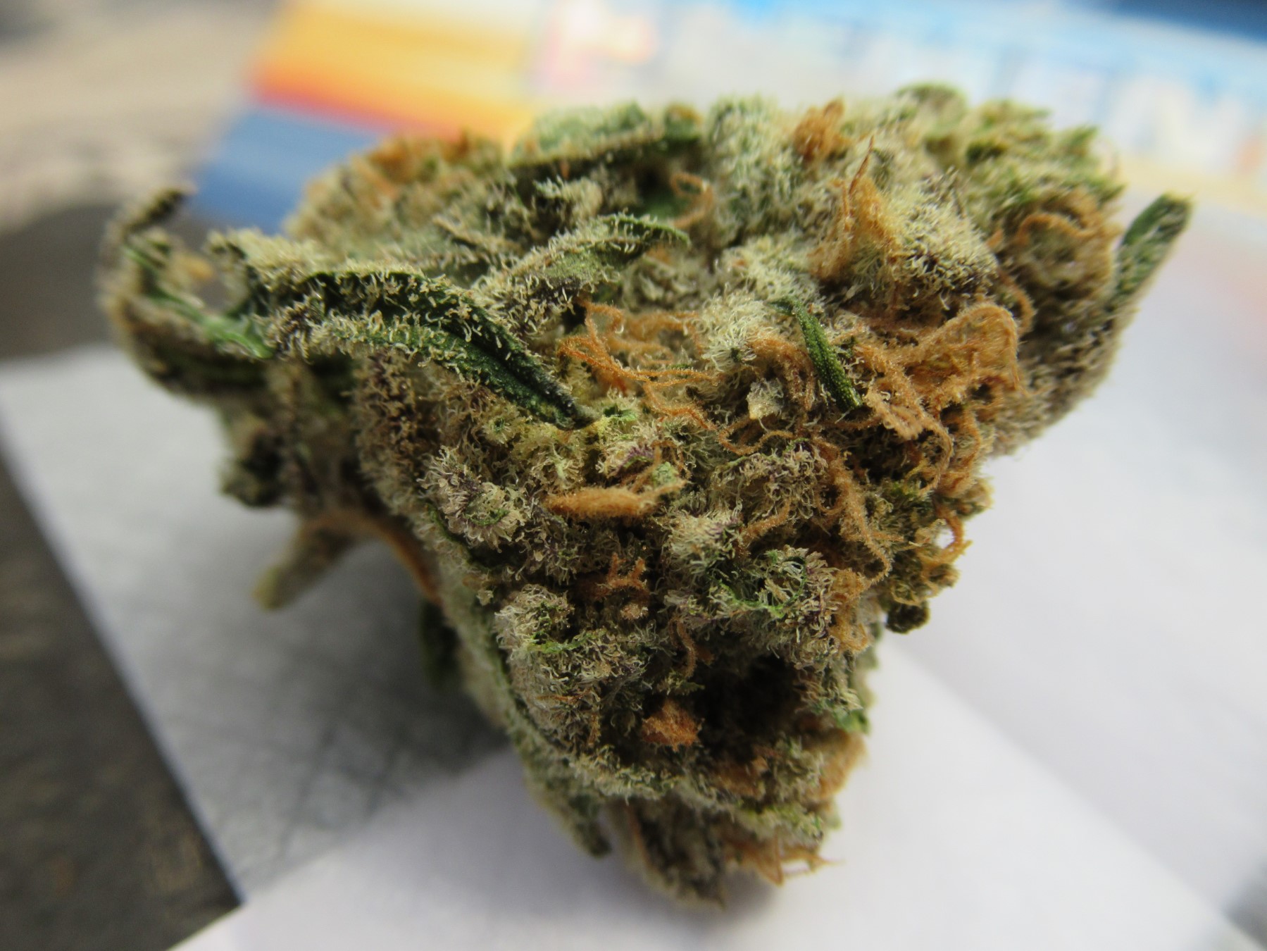 fullnugsidepistil23.jpg