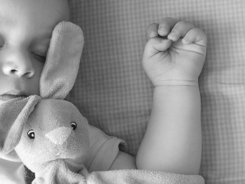 black-white-1444737_960_720.jpg