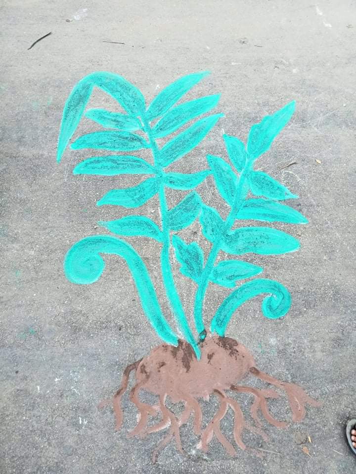 received_5064313976922085.jpeg
