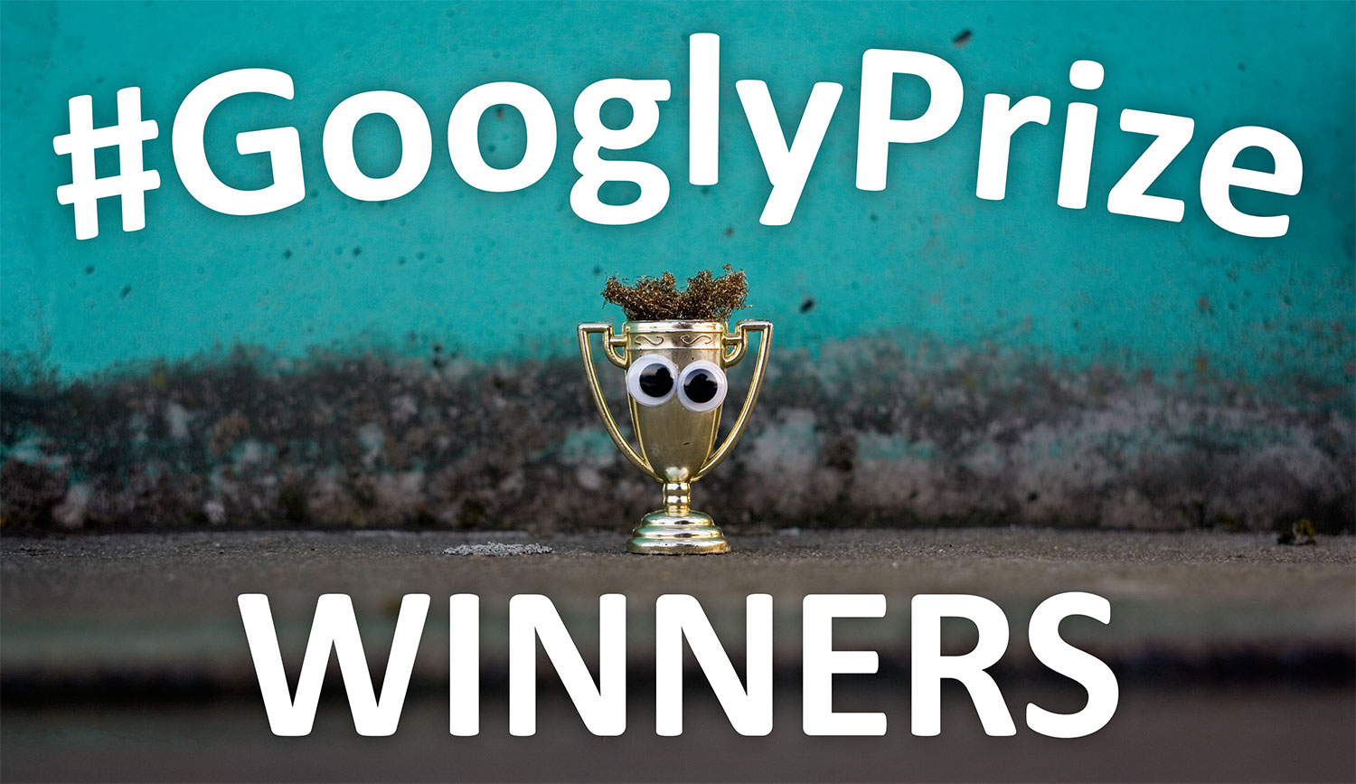 GooglyPrize GooglyEyes TitleImage Vol105