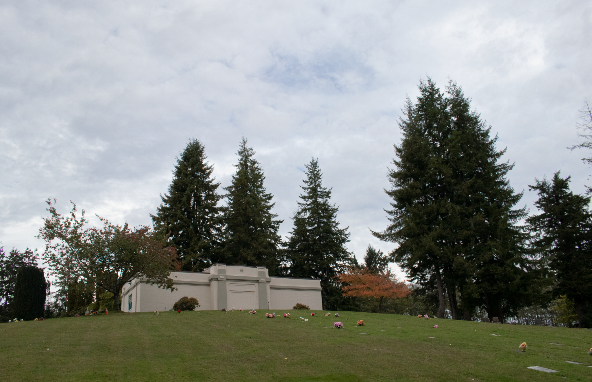 IMG_3094(1).png