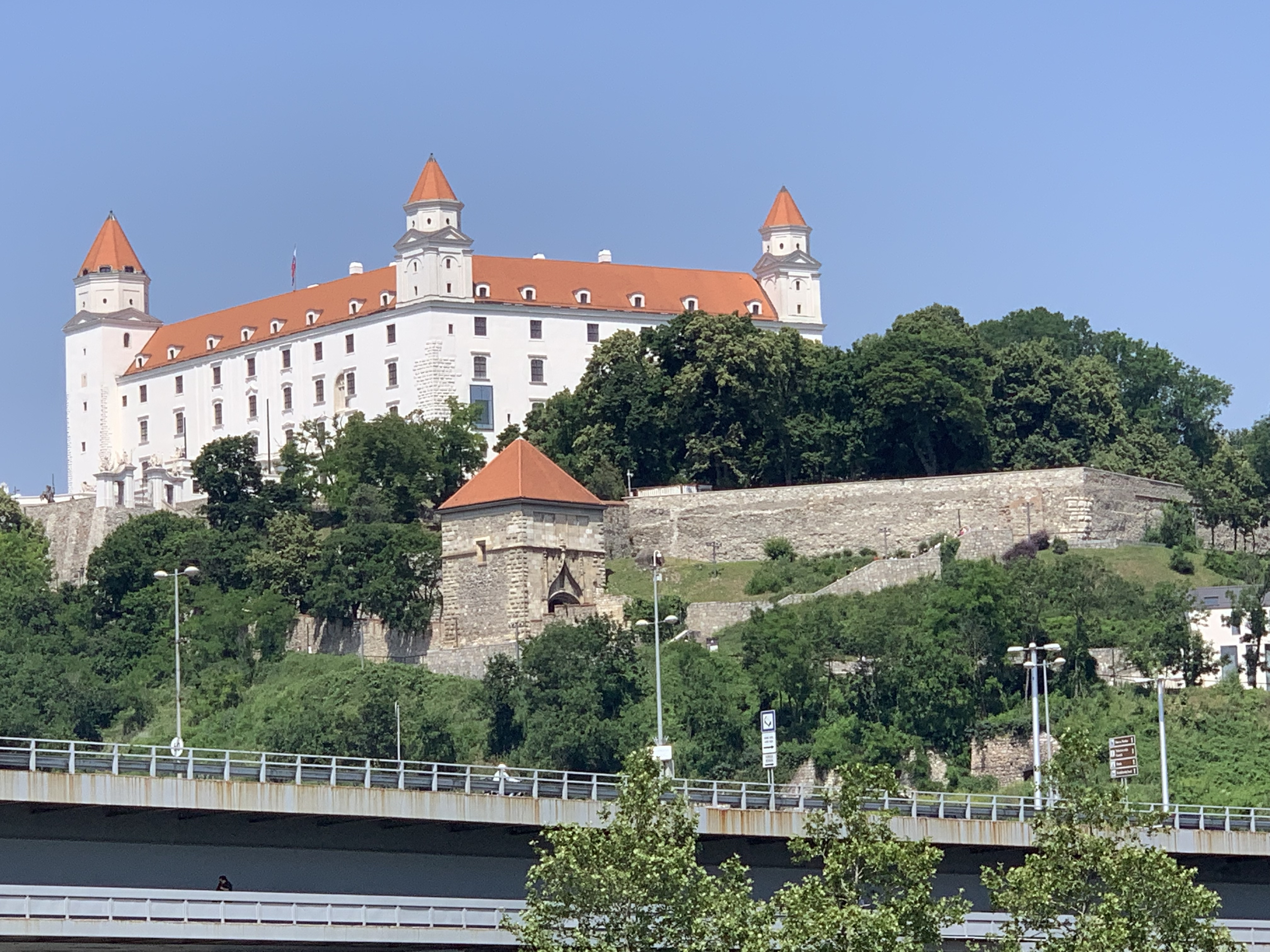 IMG_6130.jpg