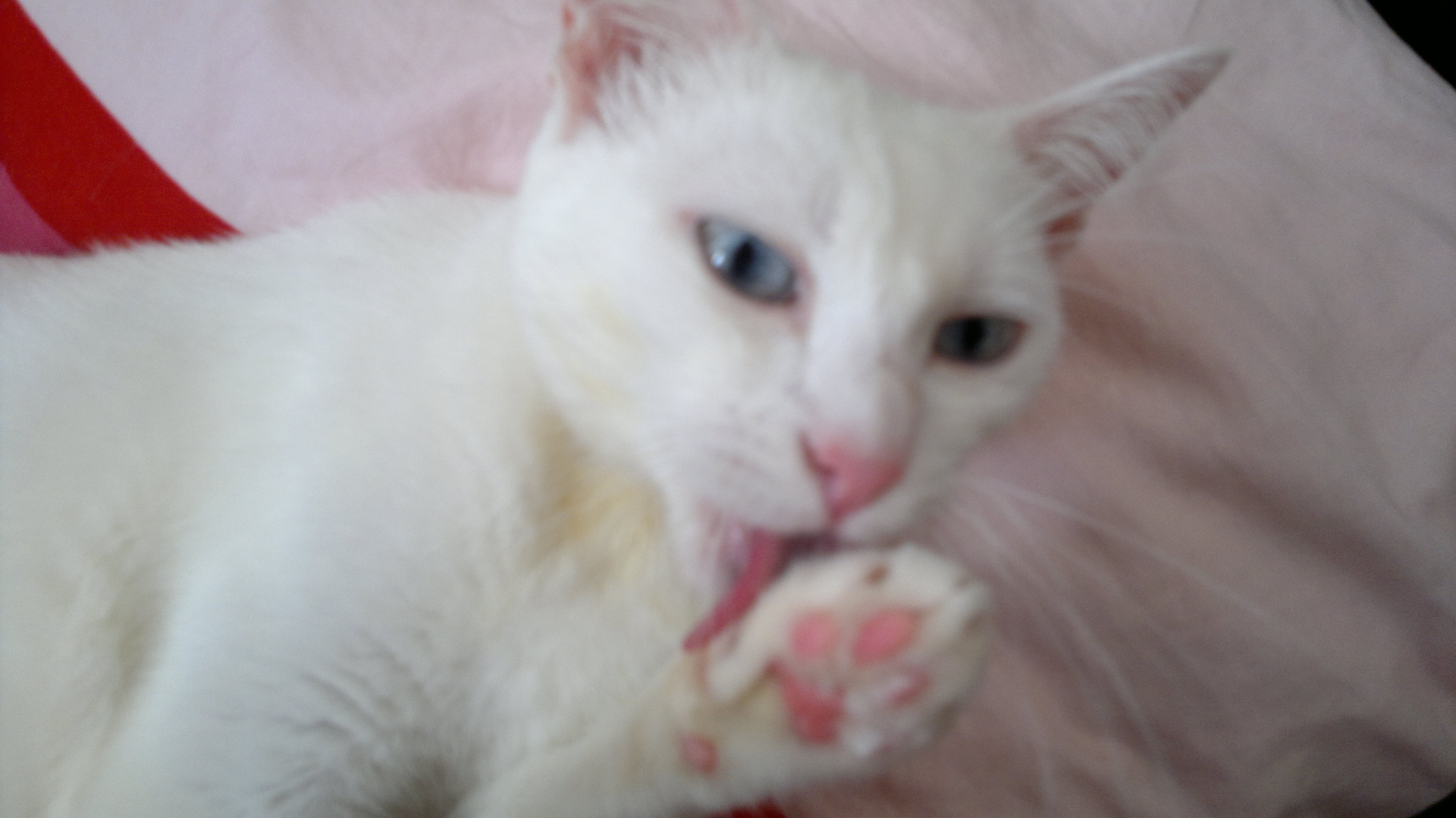 190920133056.jpg