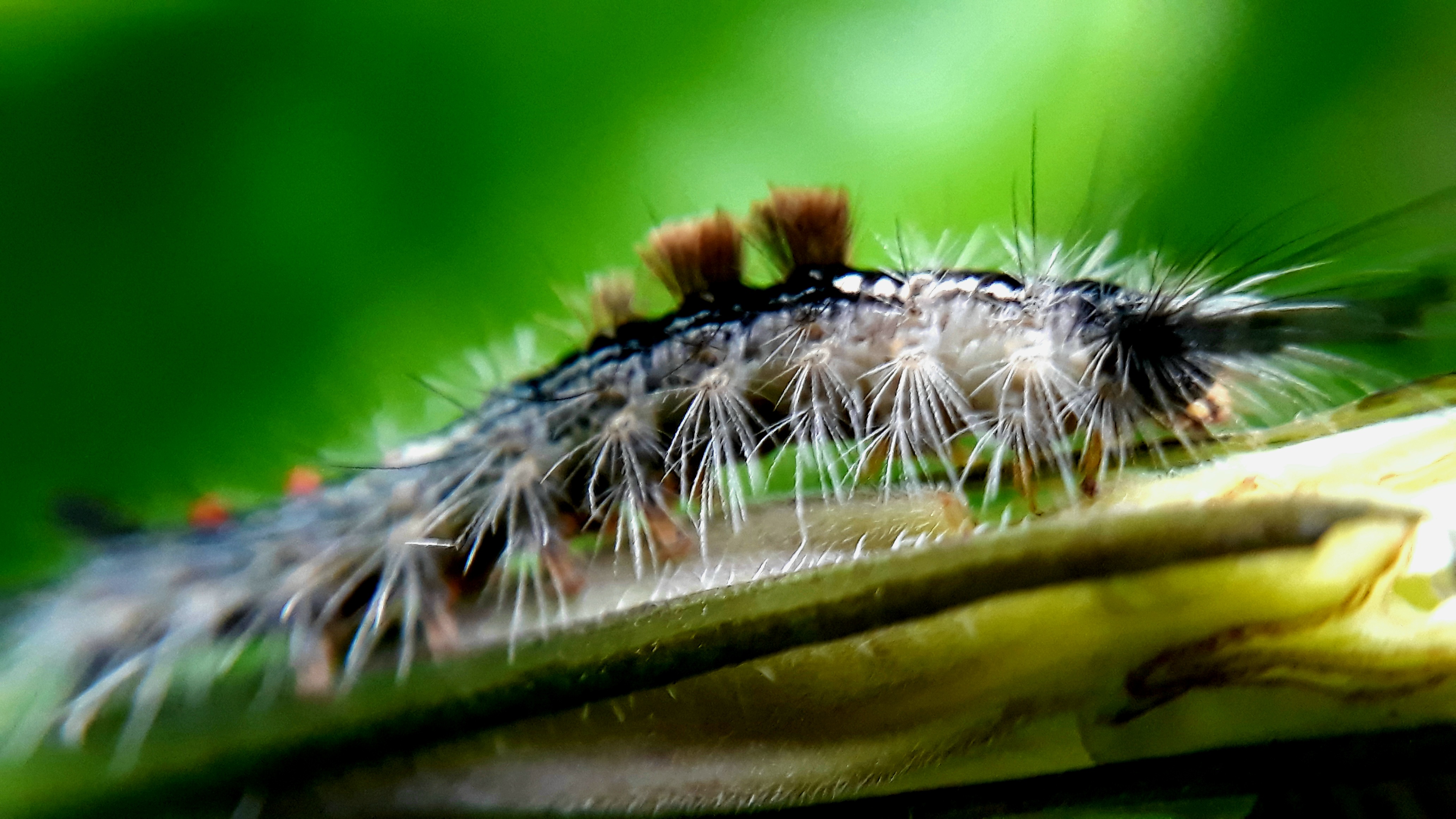 20210528_201533.jpg