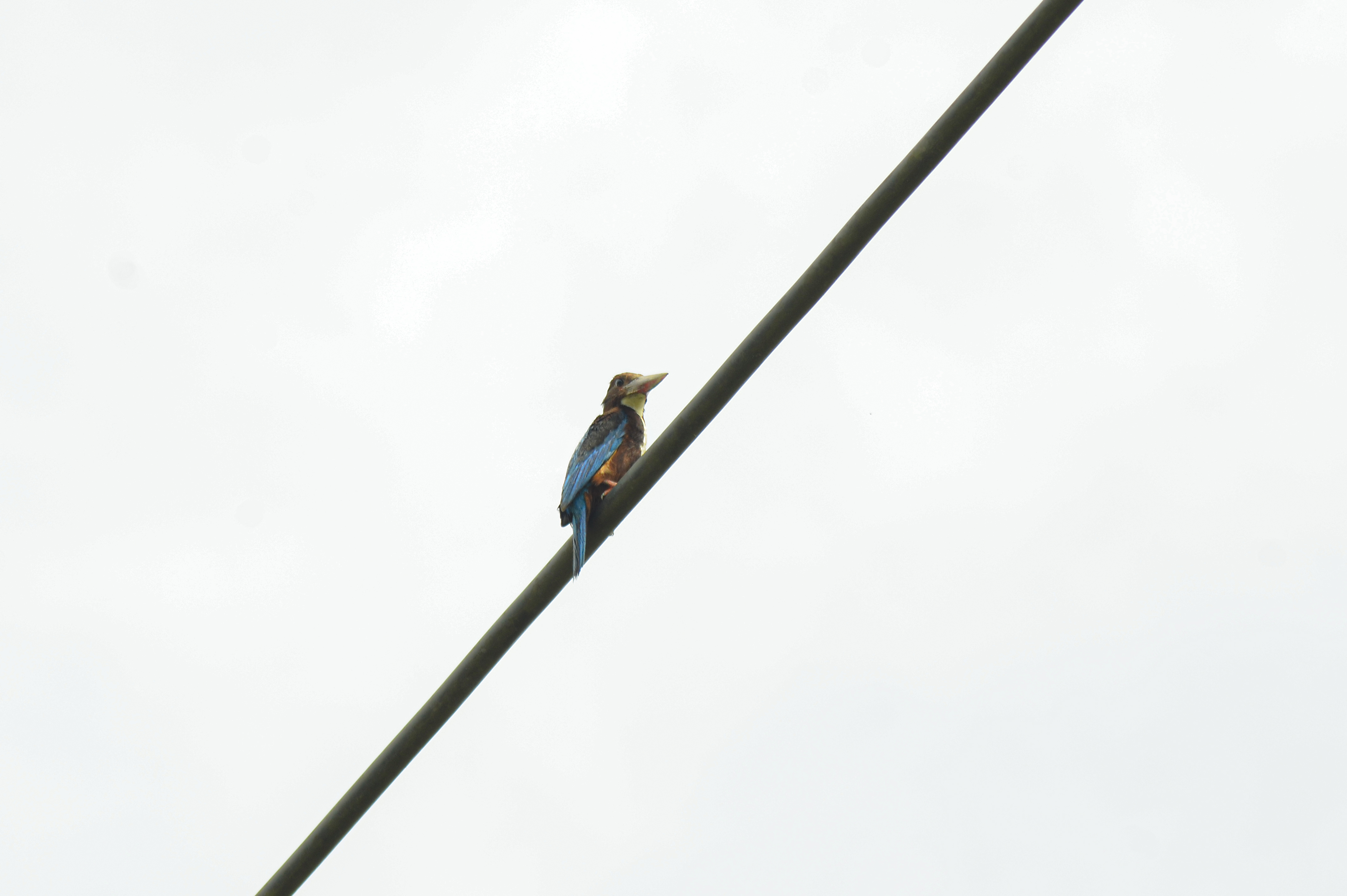 _AHW3854.jpg