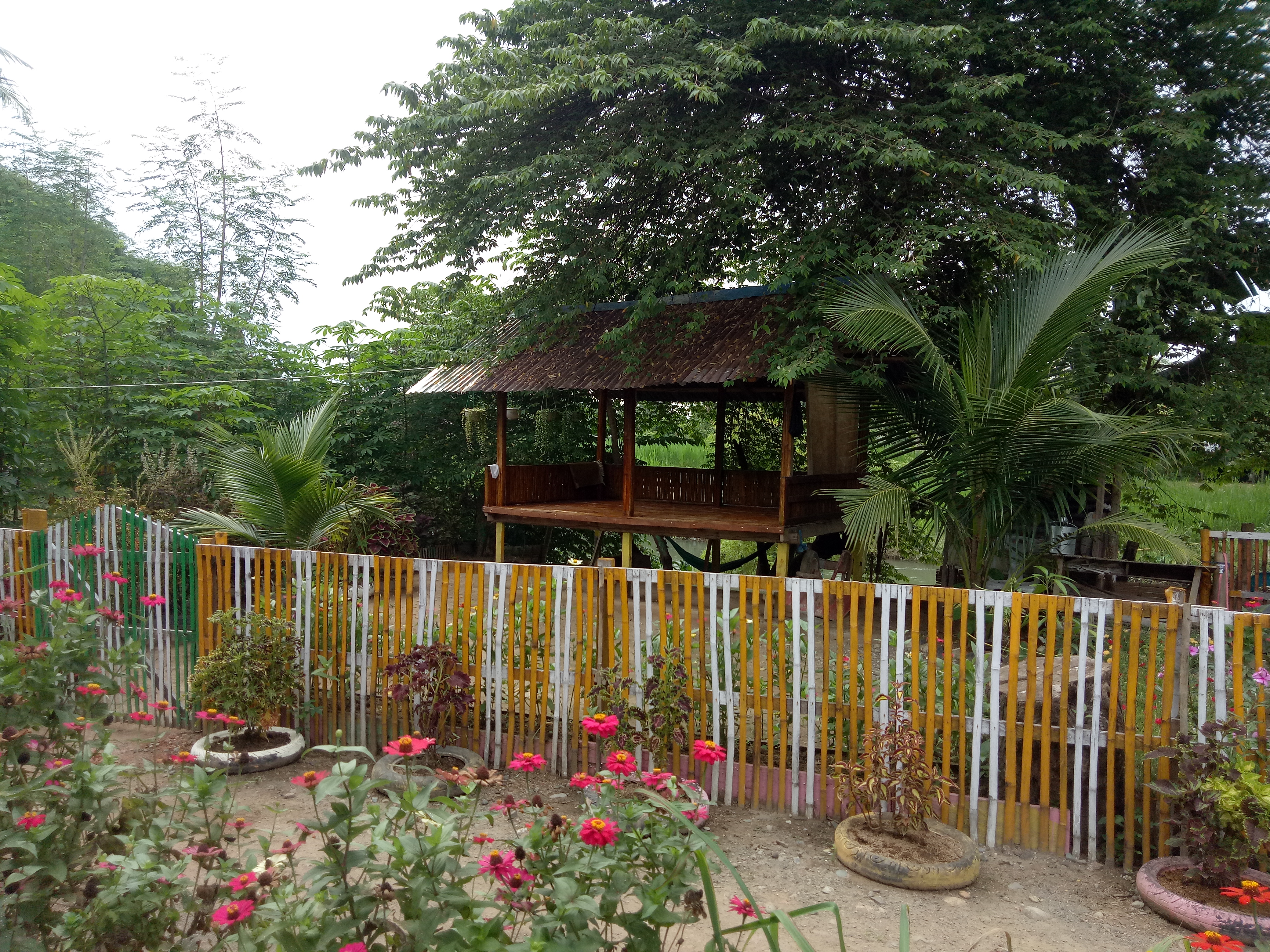 IMG20210521103027.jpg