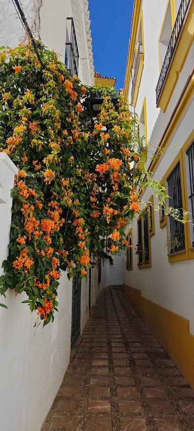 MarbellaAltstadt3.jpg
