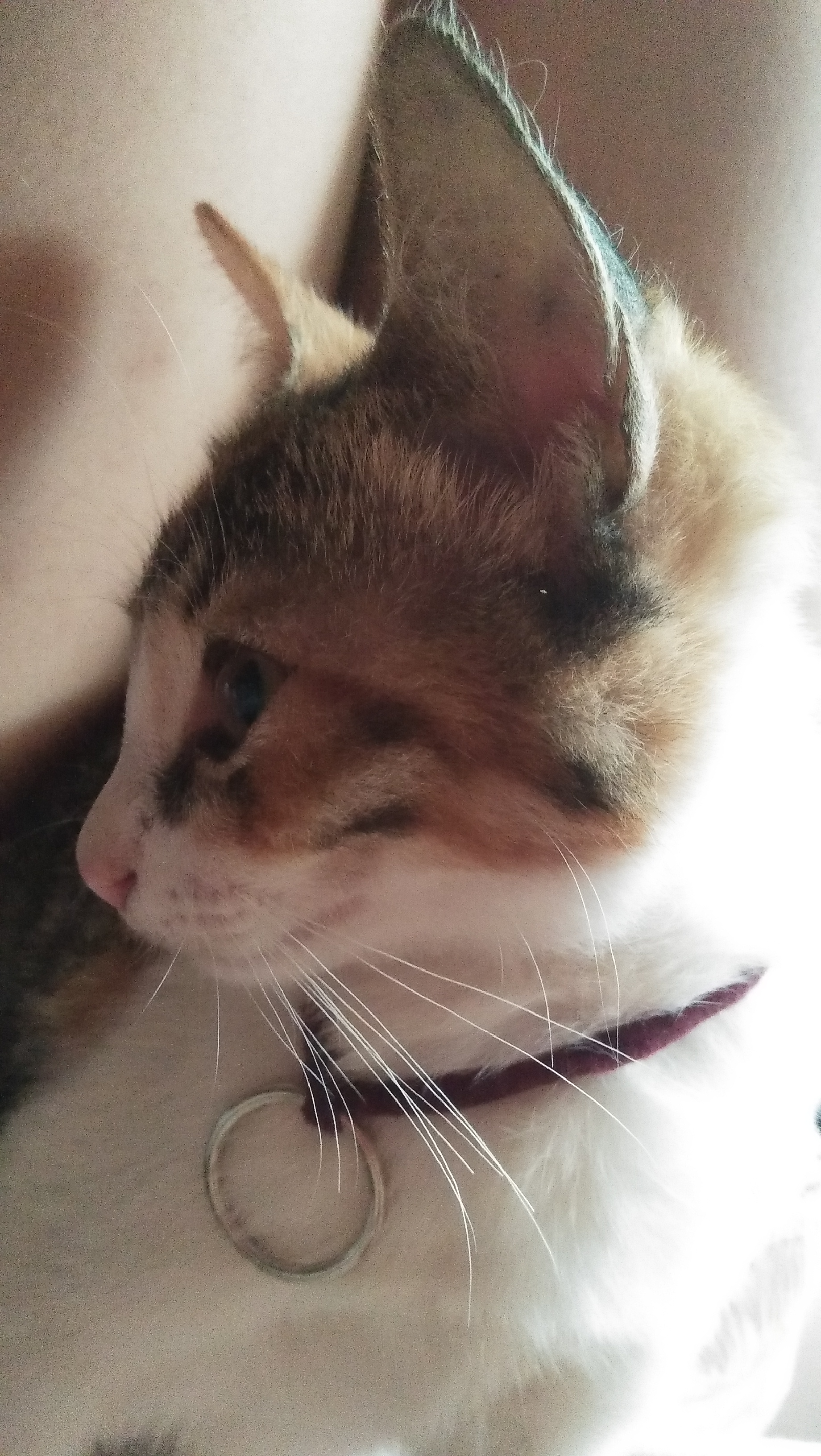 IMG20180420124959.jpg