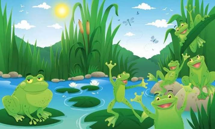 A group of frog (1).jpeg