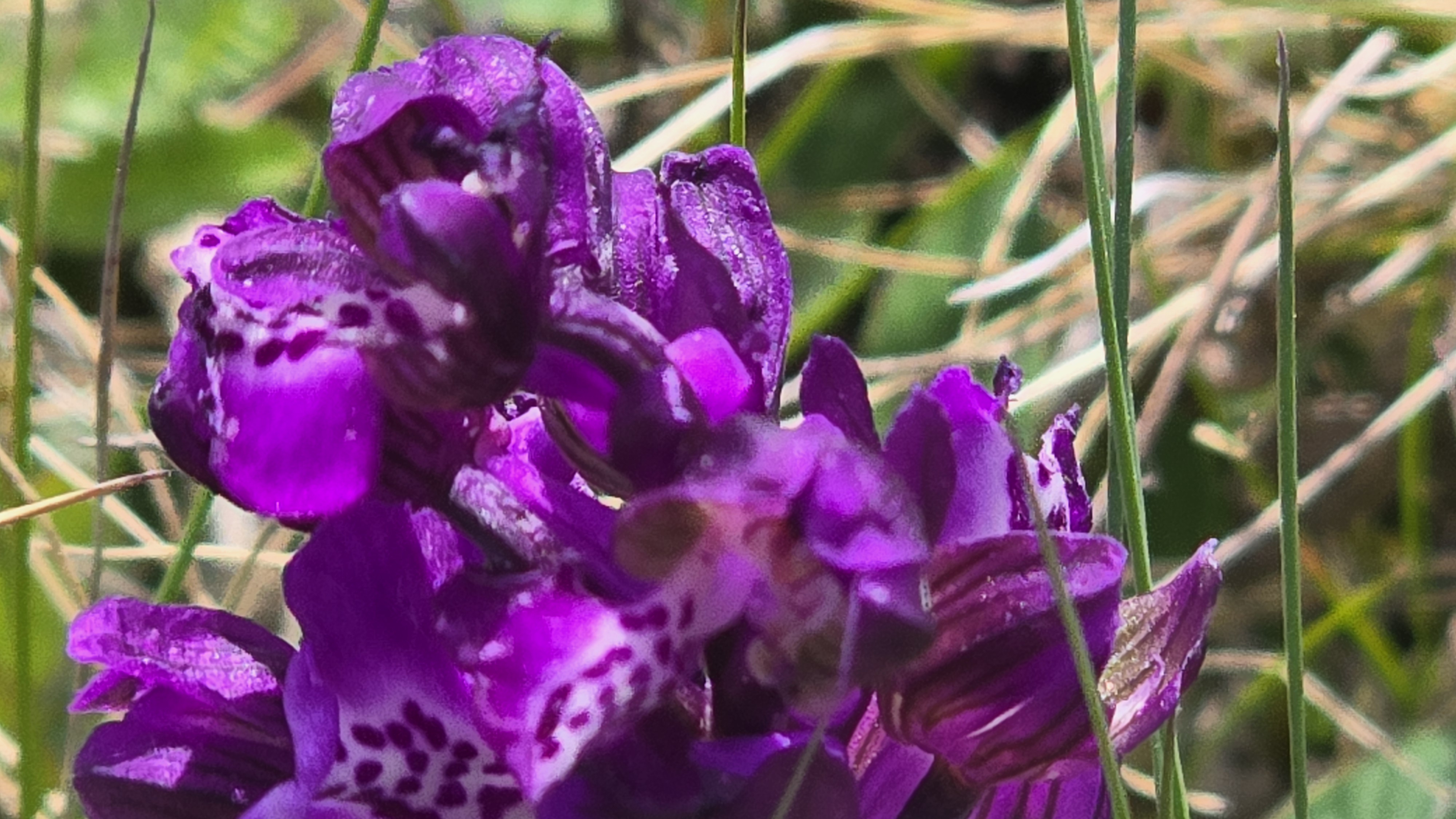 20260428_120508.jpg