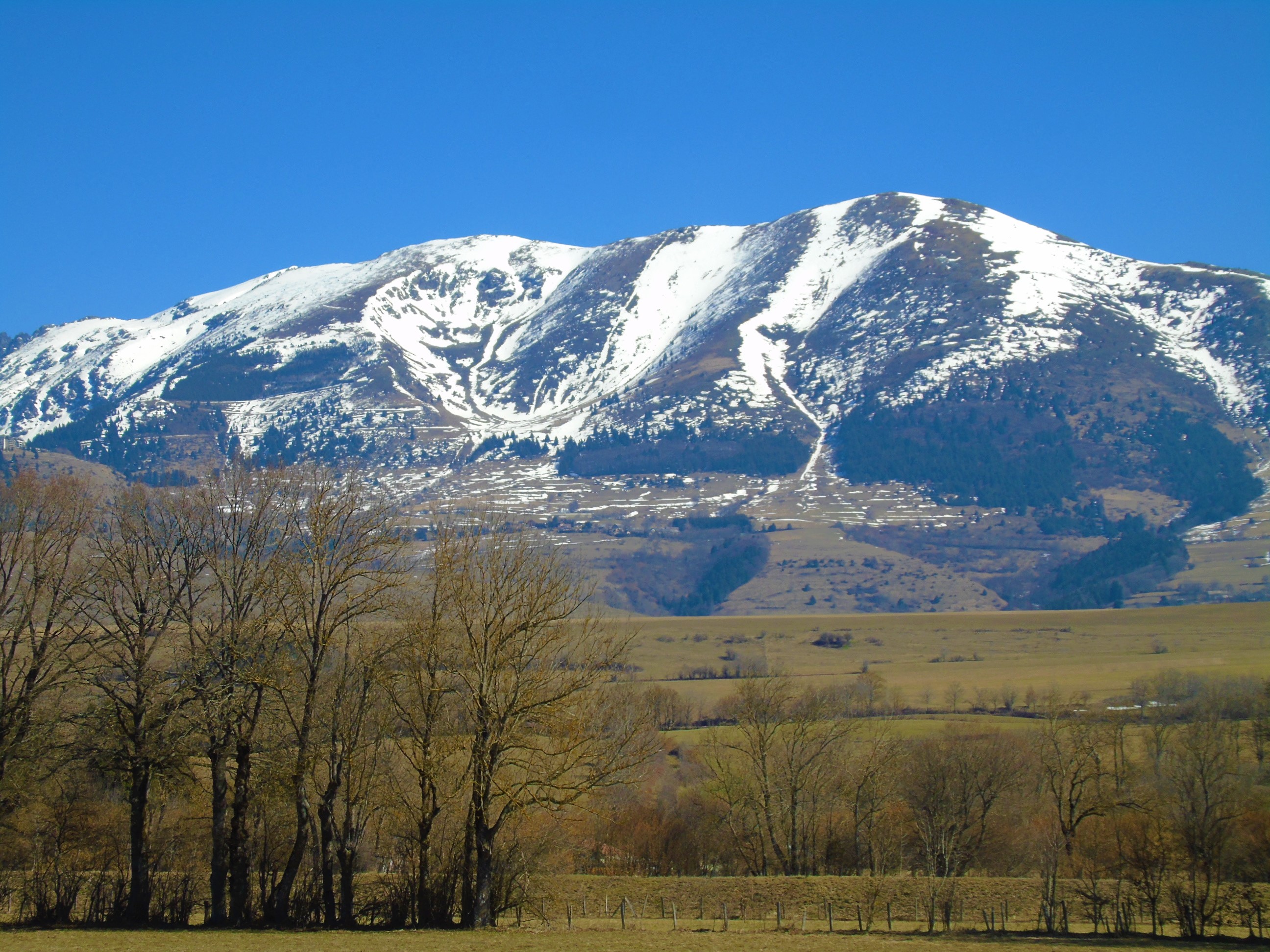 1photofeedlandscape74 (15).JPG