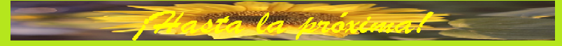 SEPARADOR @GERTU 2.png