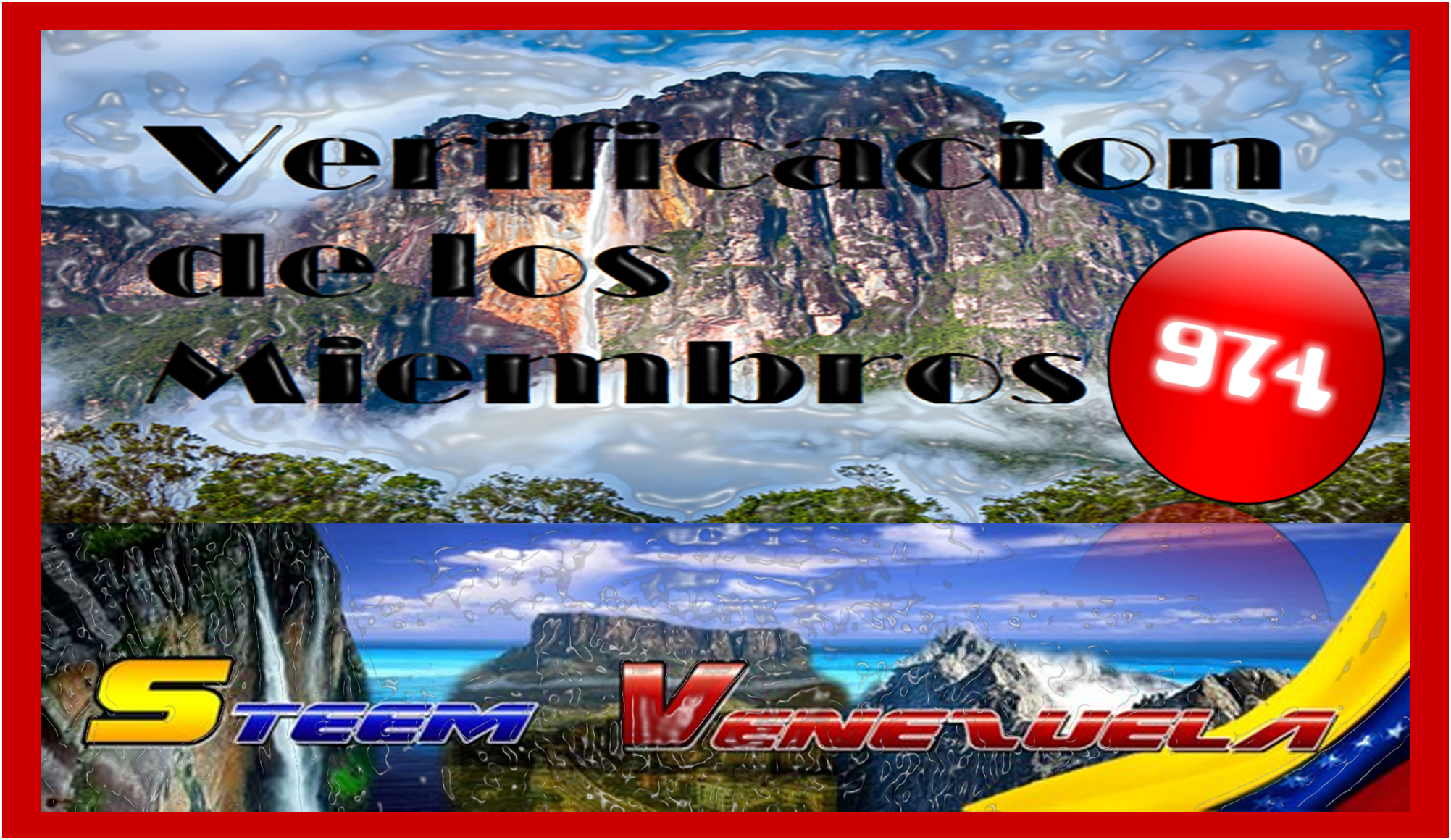 verificados.png