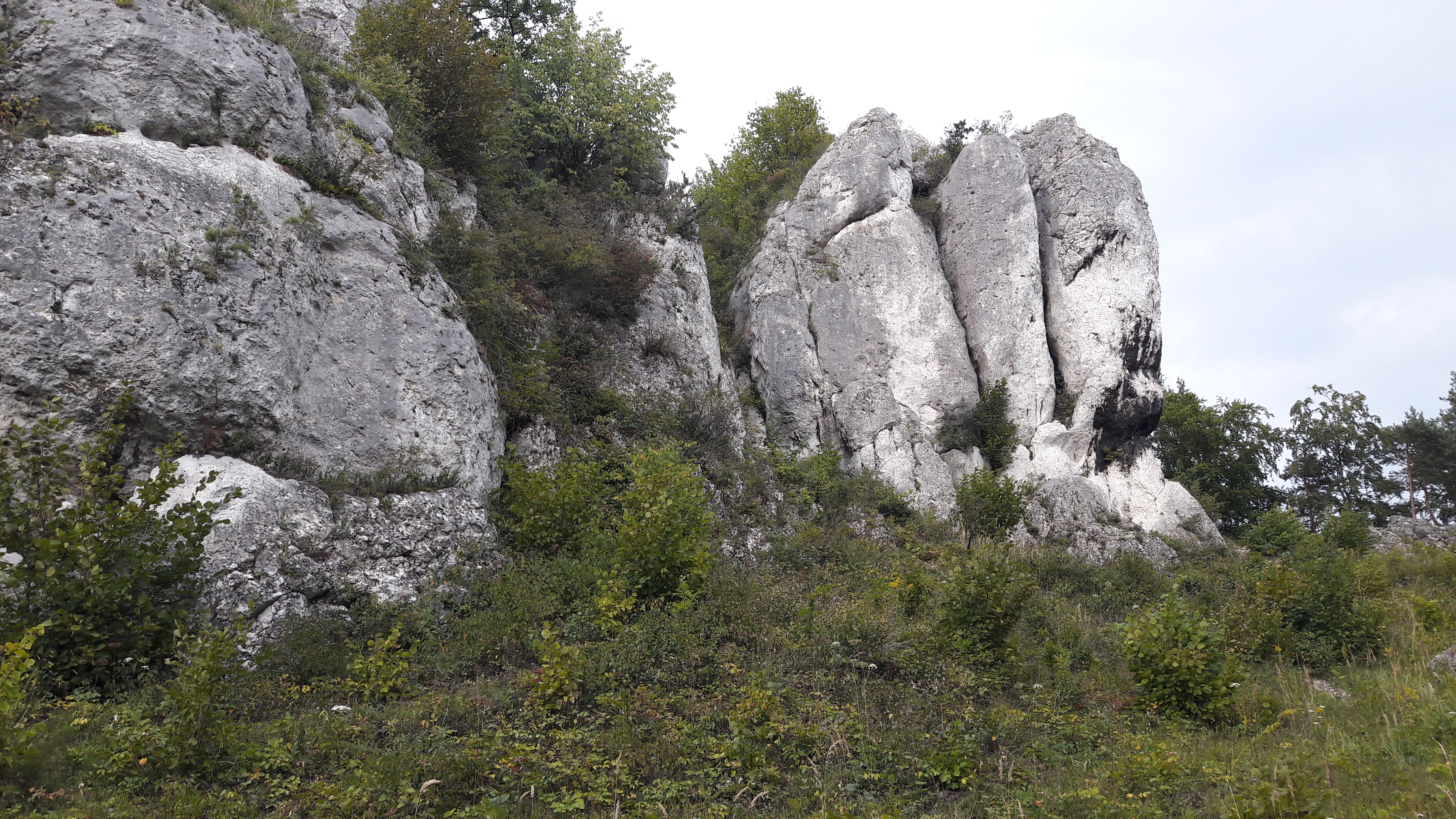 20180810_174531.jpg