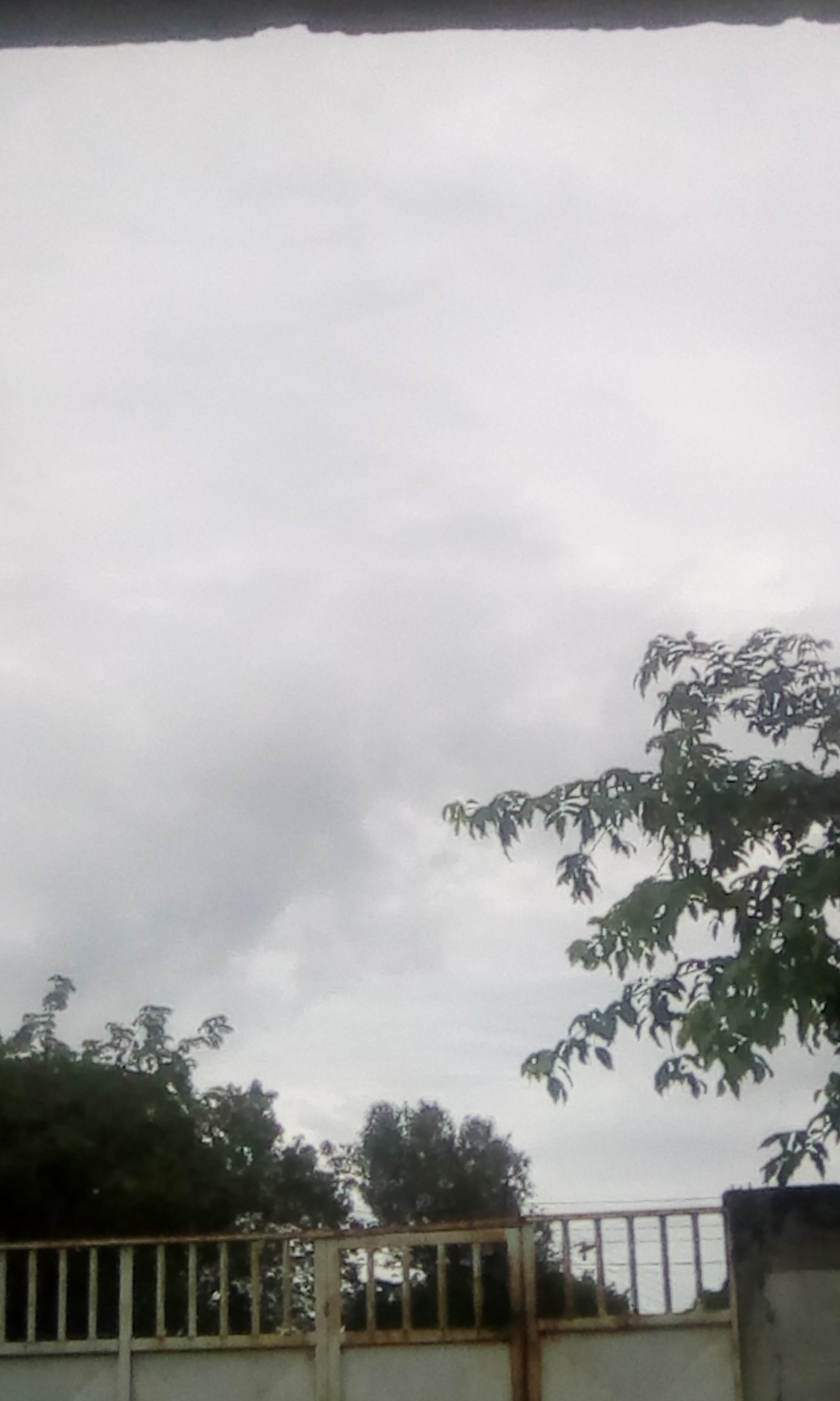 IMG_20191024_094436.jpg