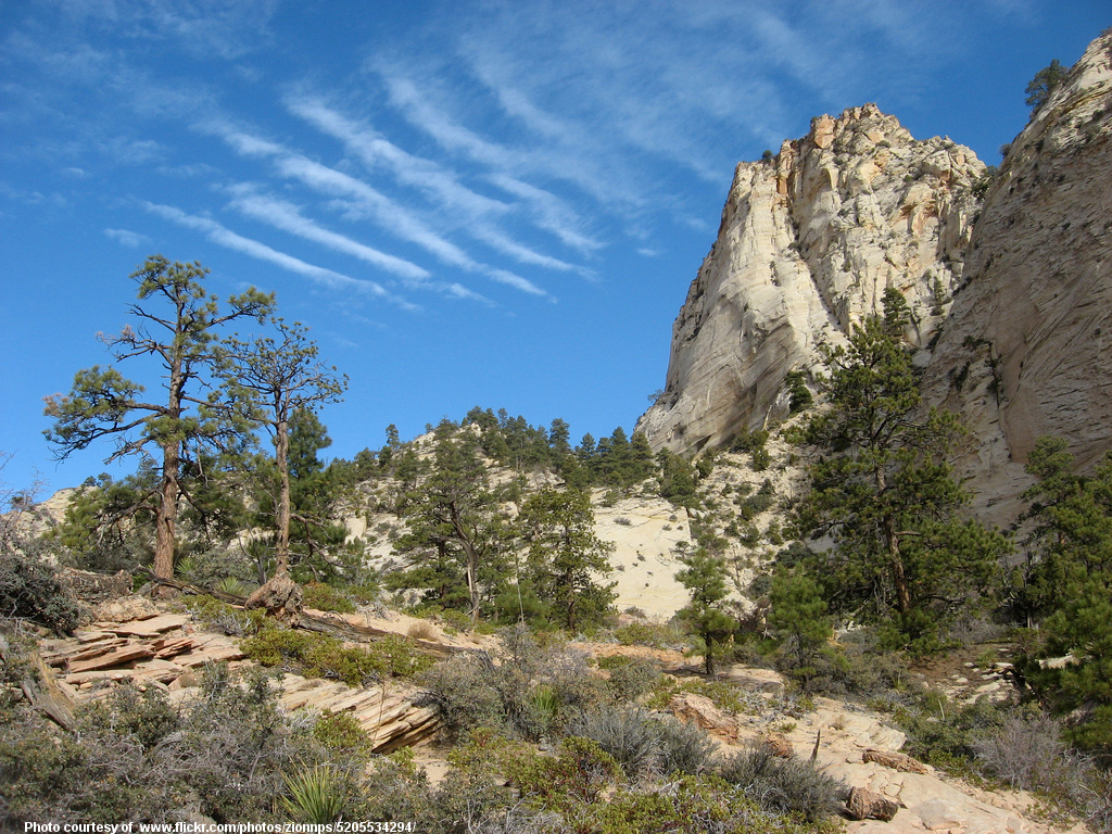DesertSummer-001-071518.jpg
