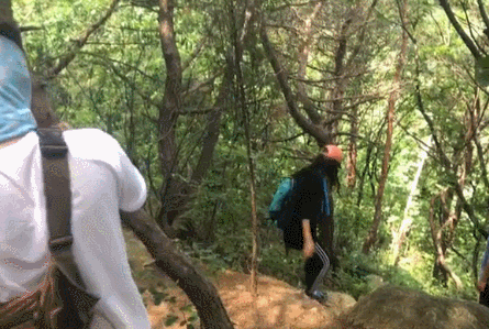fdadfda.gif
