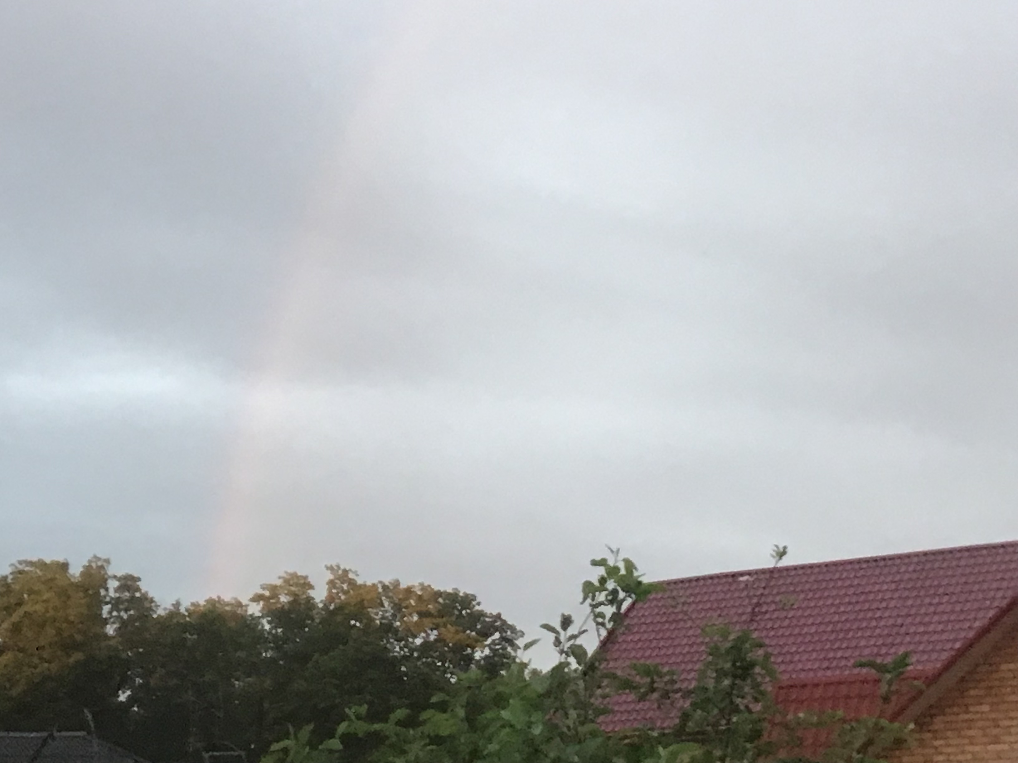 IMG_5706.jpeg