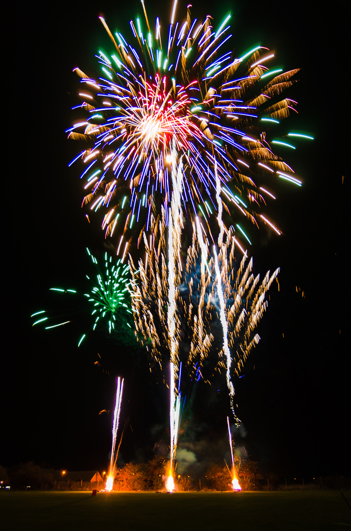DSC_3923.jpg
