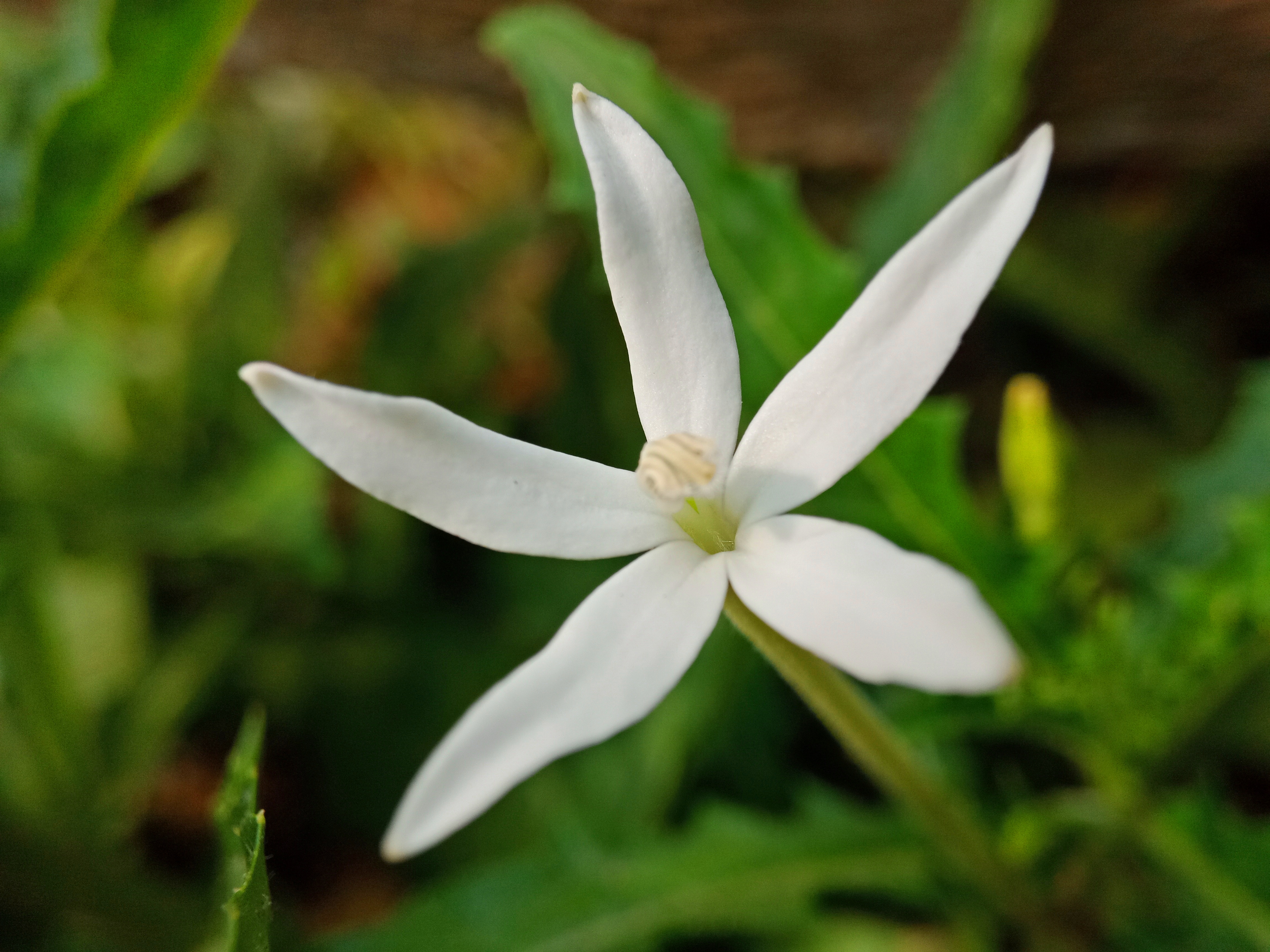 IMG20220525164819.jpg
