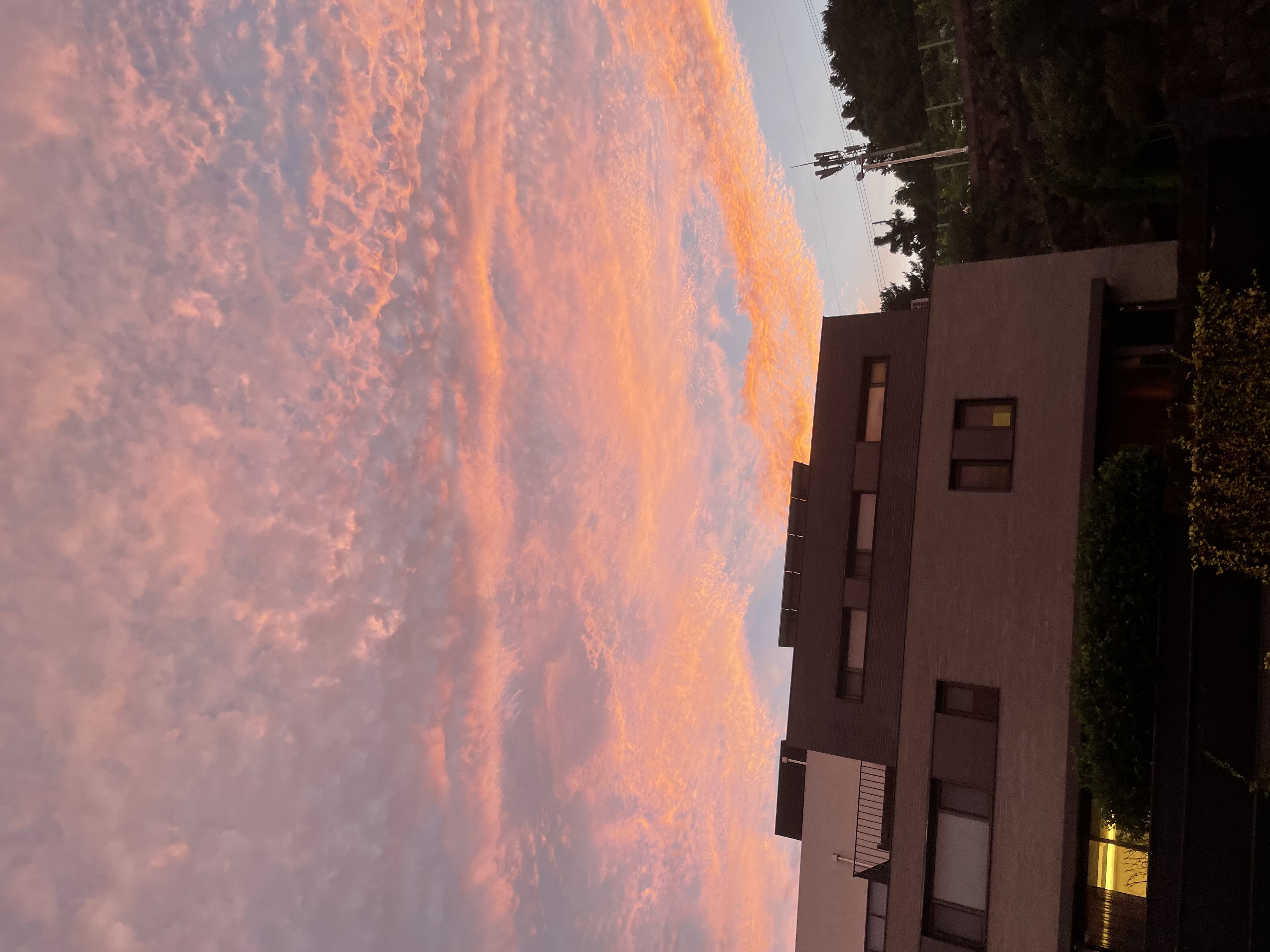 KakaoTalk_20260807_214415339_28.jpg