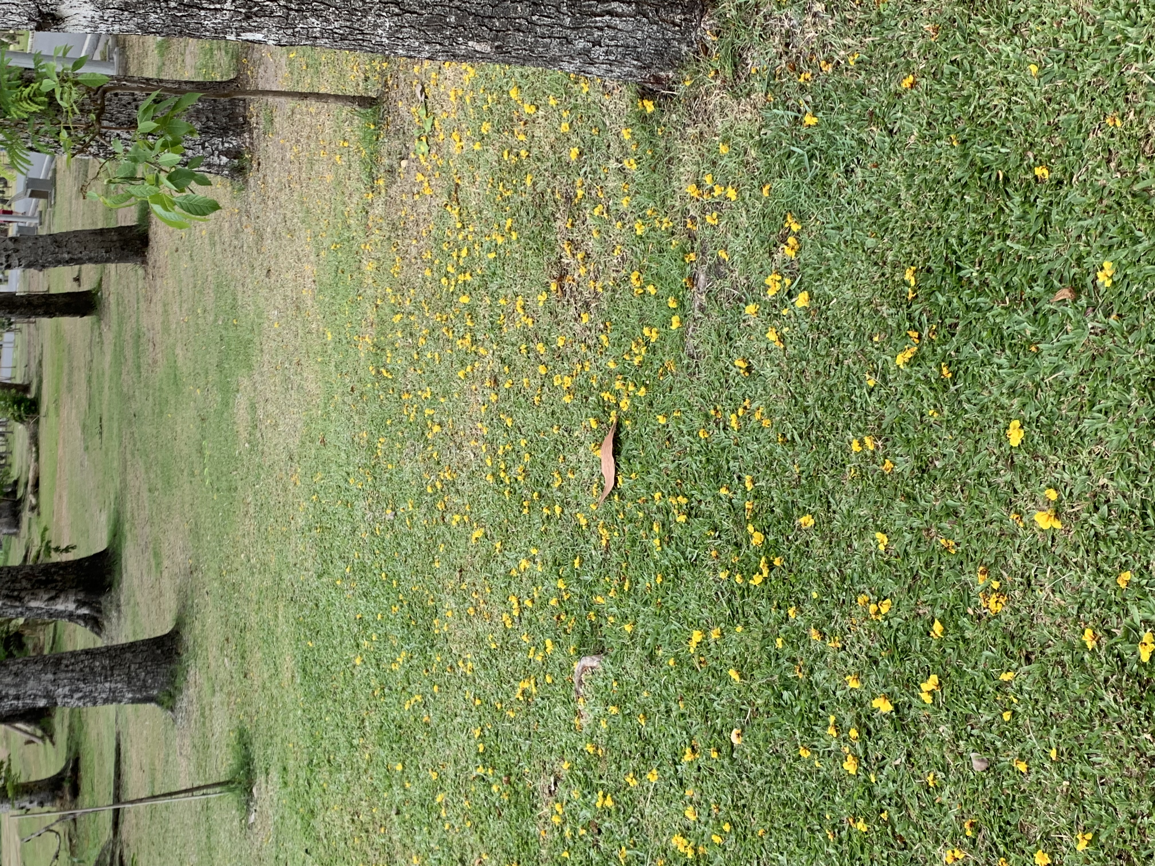 children's playground1.jpg