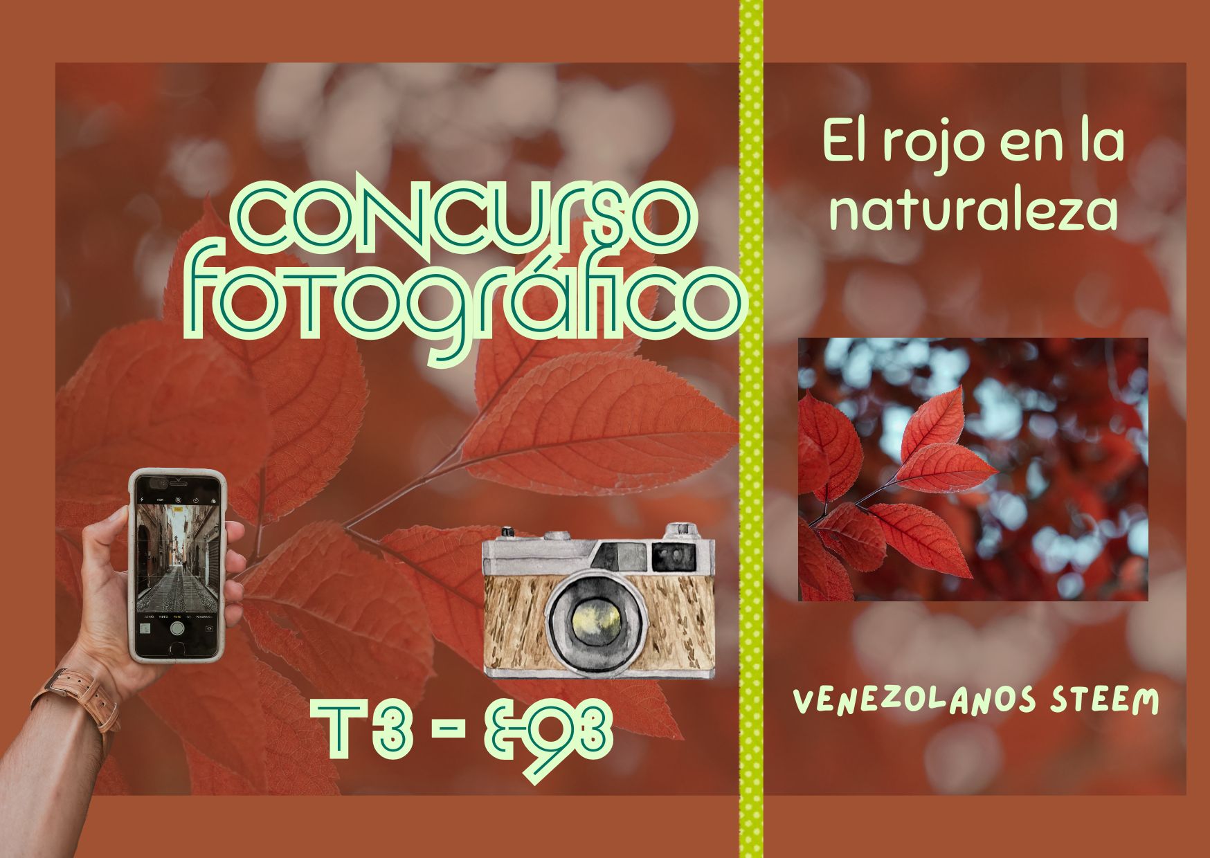 Concurso fotográfico #2 (2).jpg