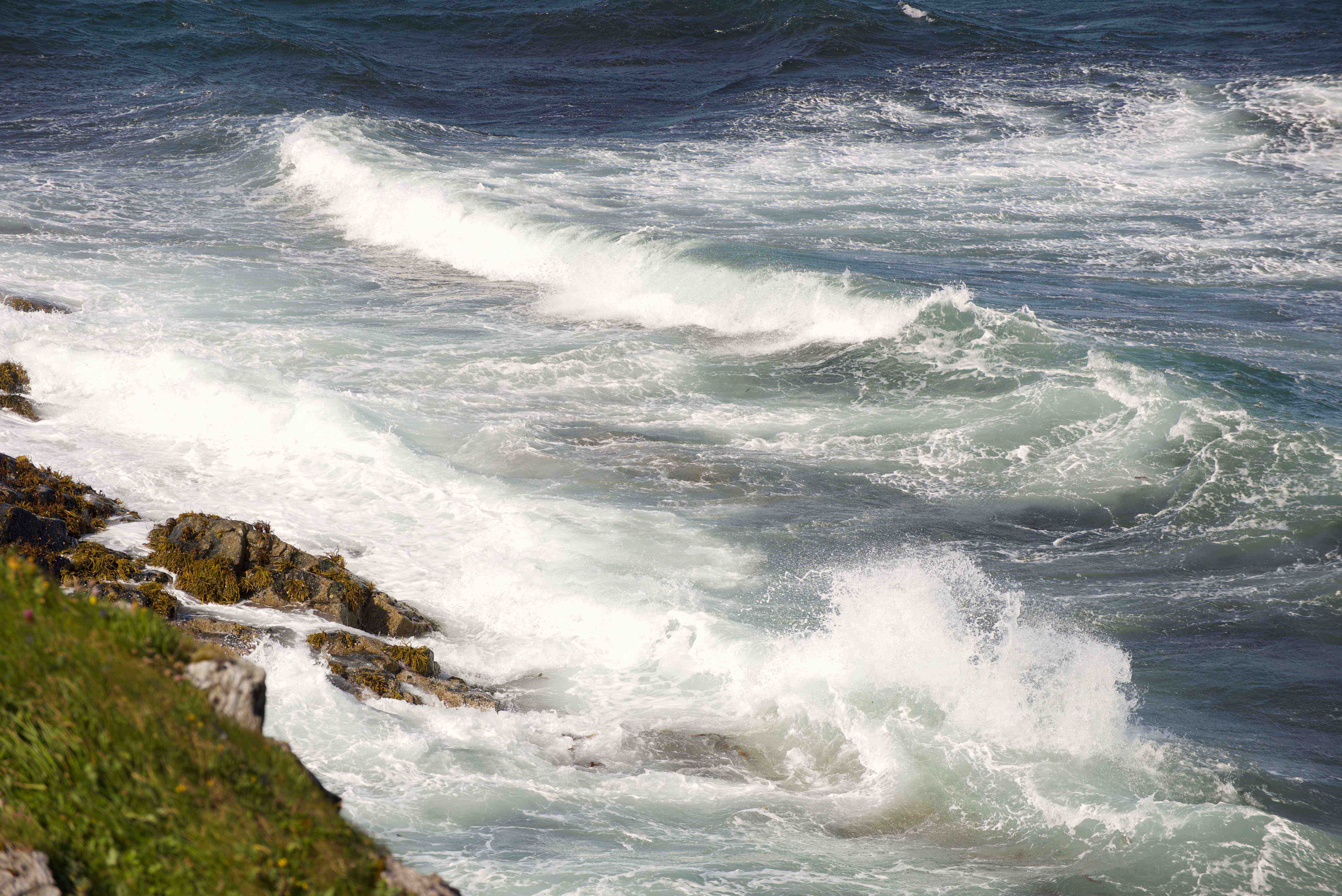 DSC_2032.jpg