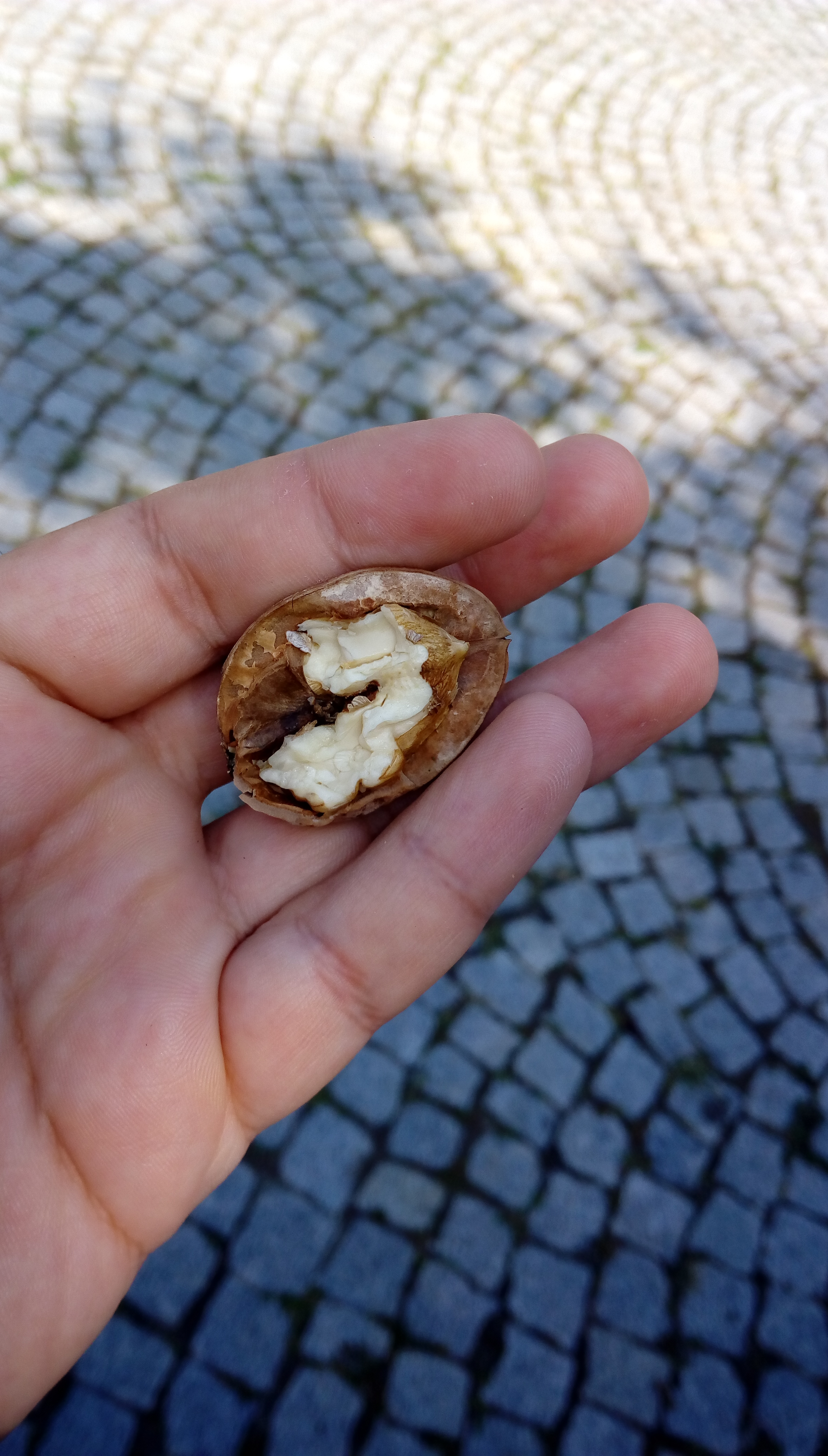 IMAG0941.jpg