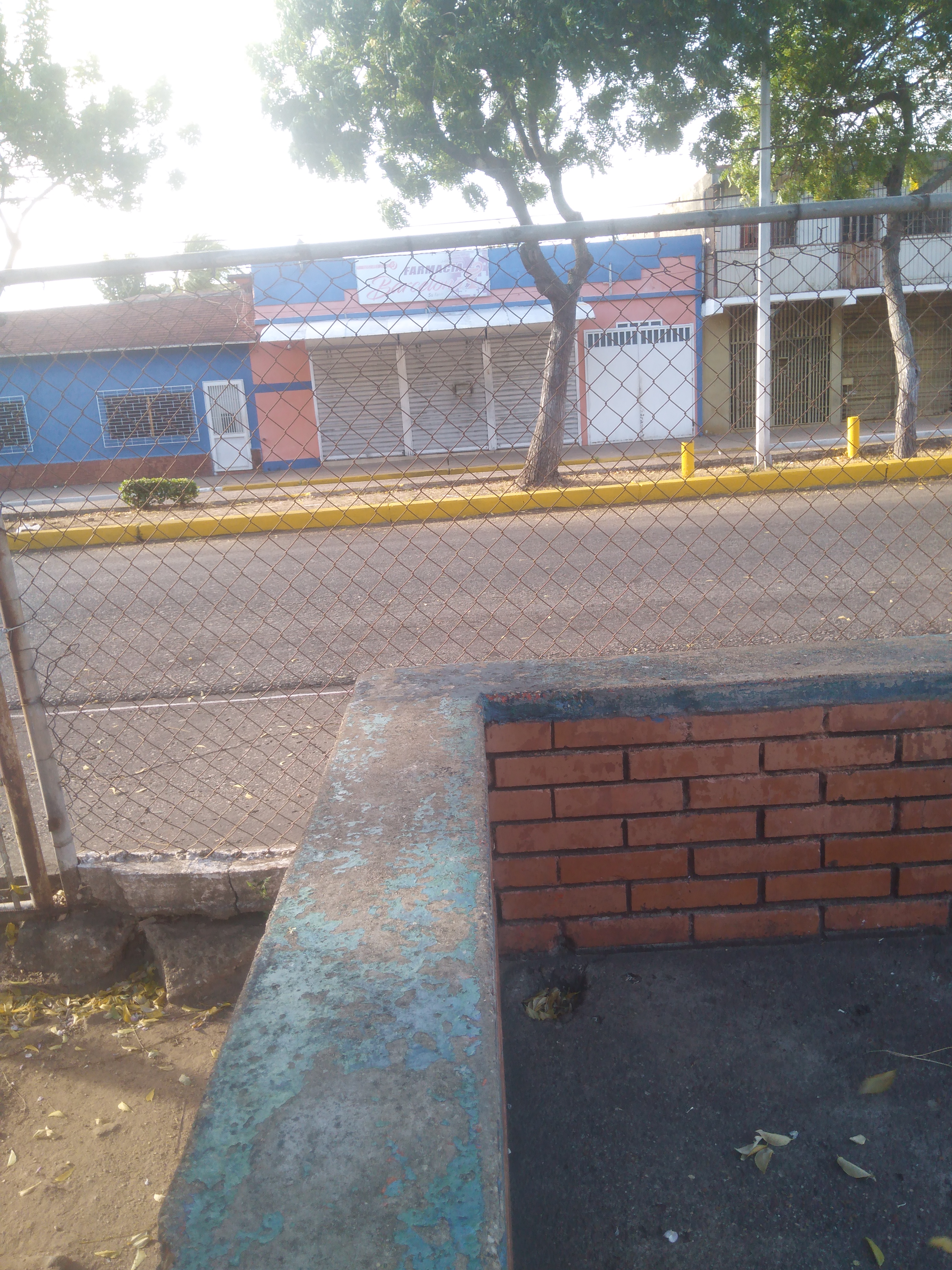 IMG_20250127_080117.jpg