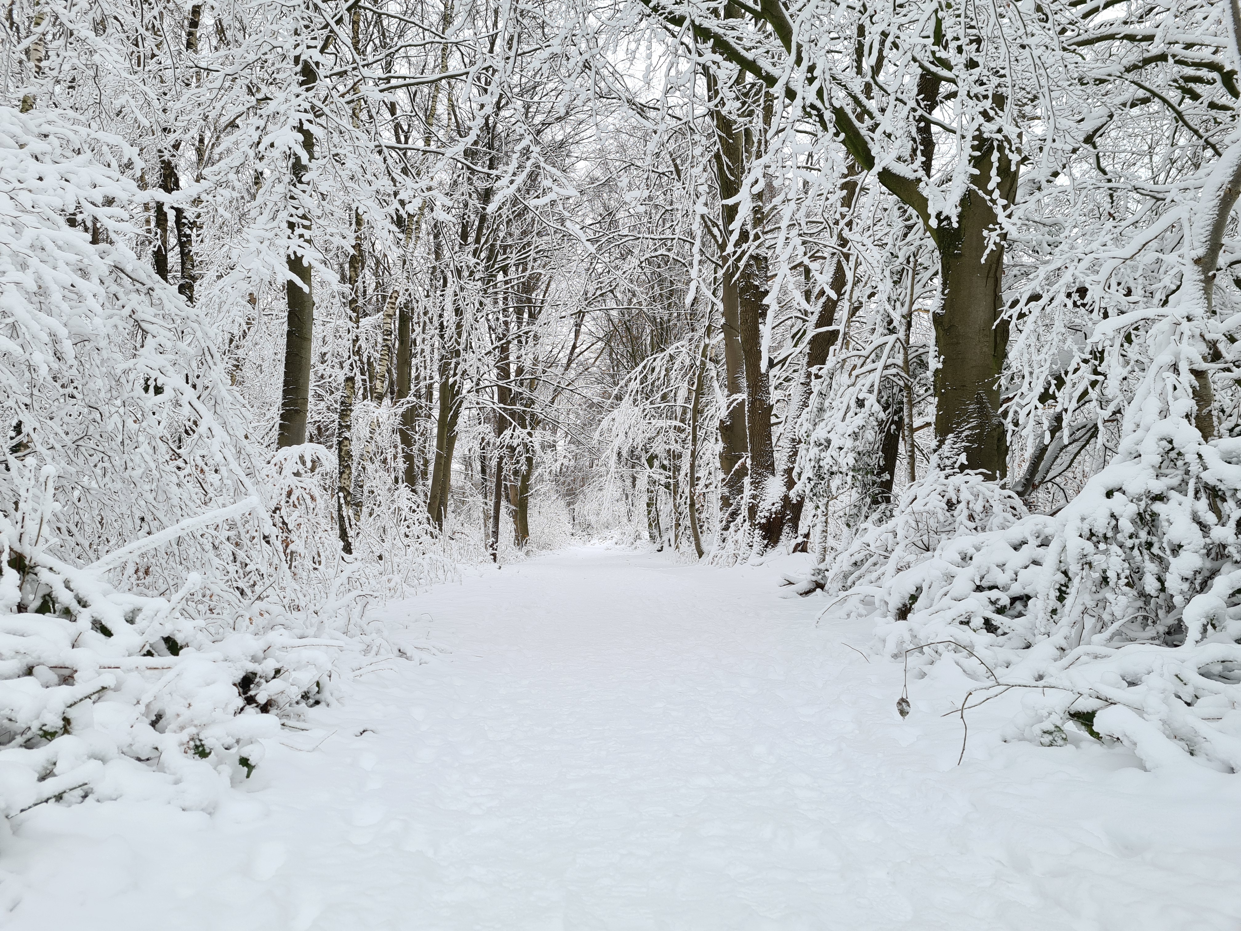 Schnee (3).jpg