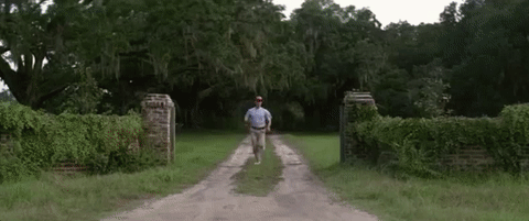 giphy (10).gif