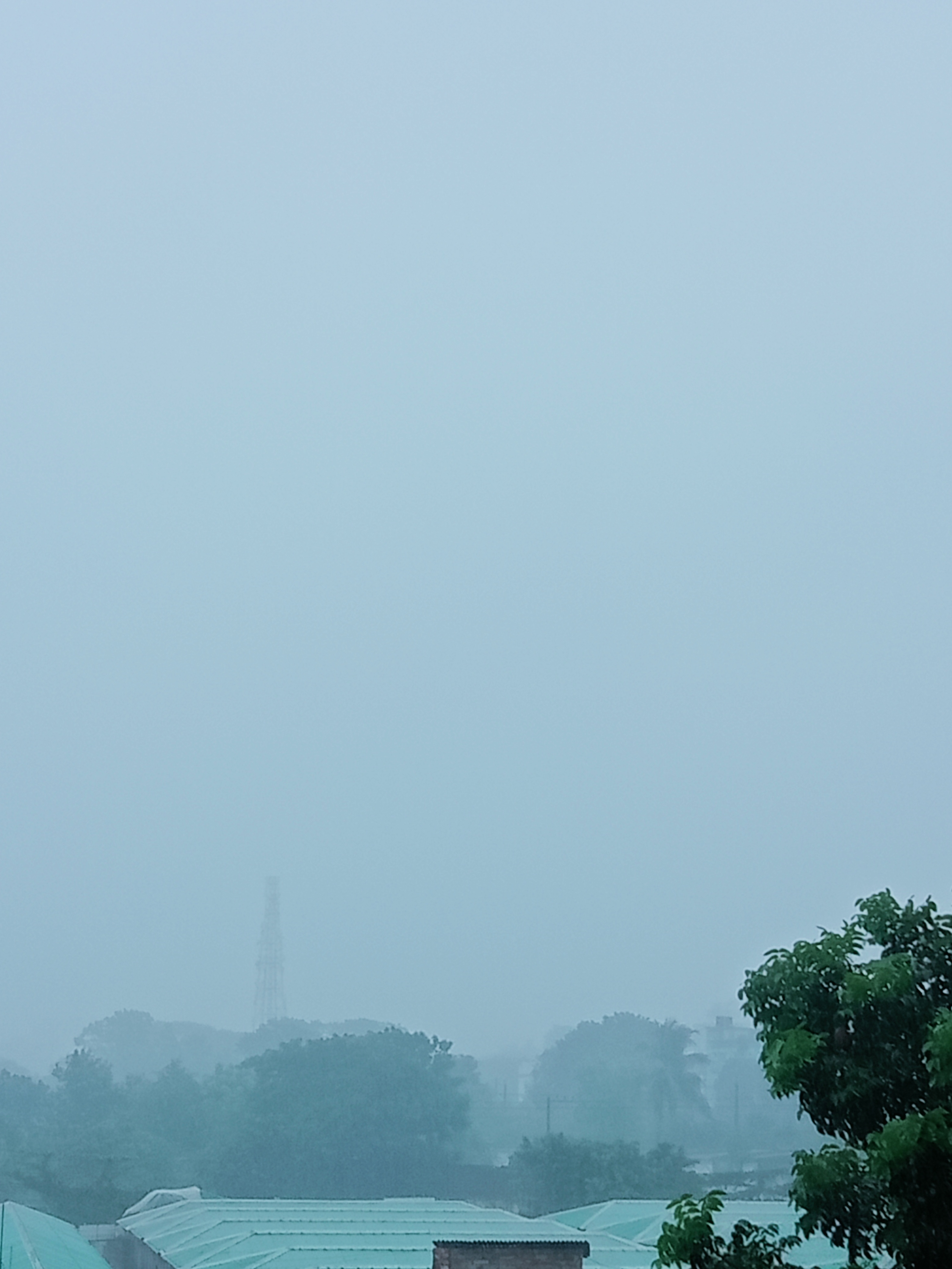 IMG20240822124431.jpg