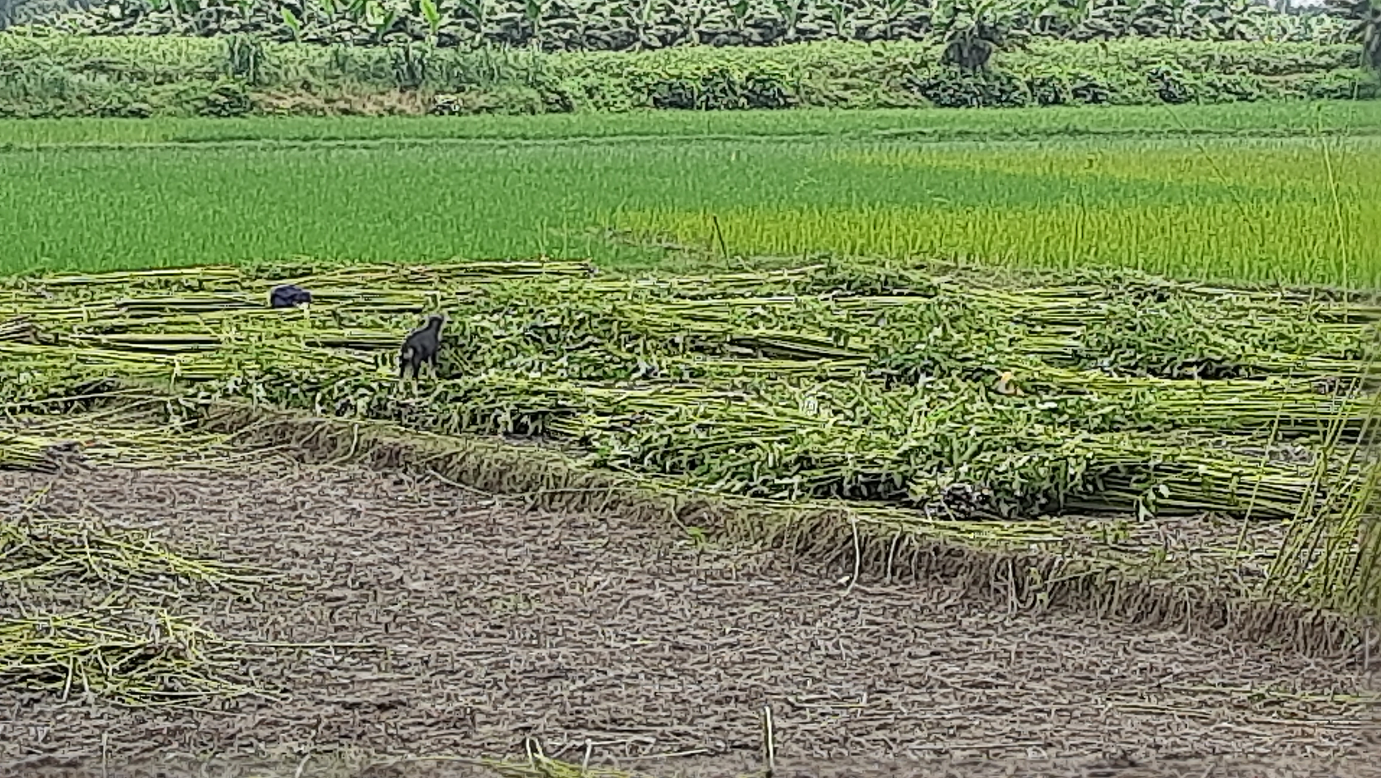 20230815_112349.jpg