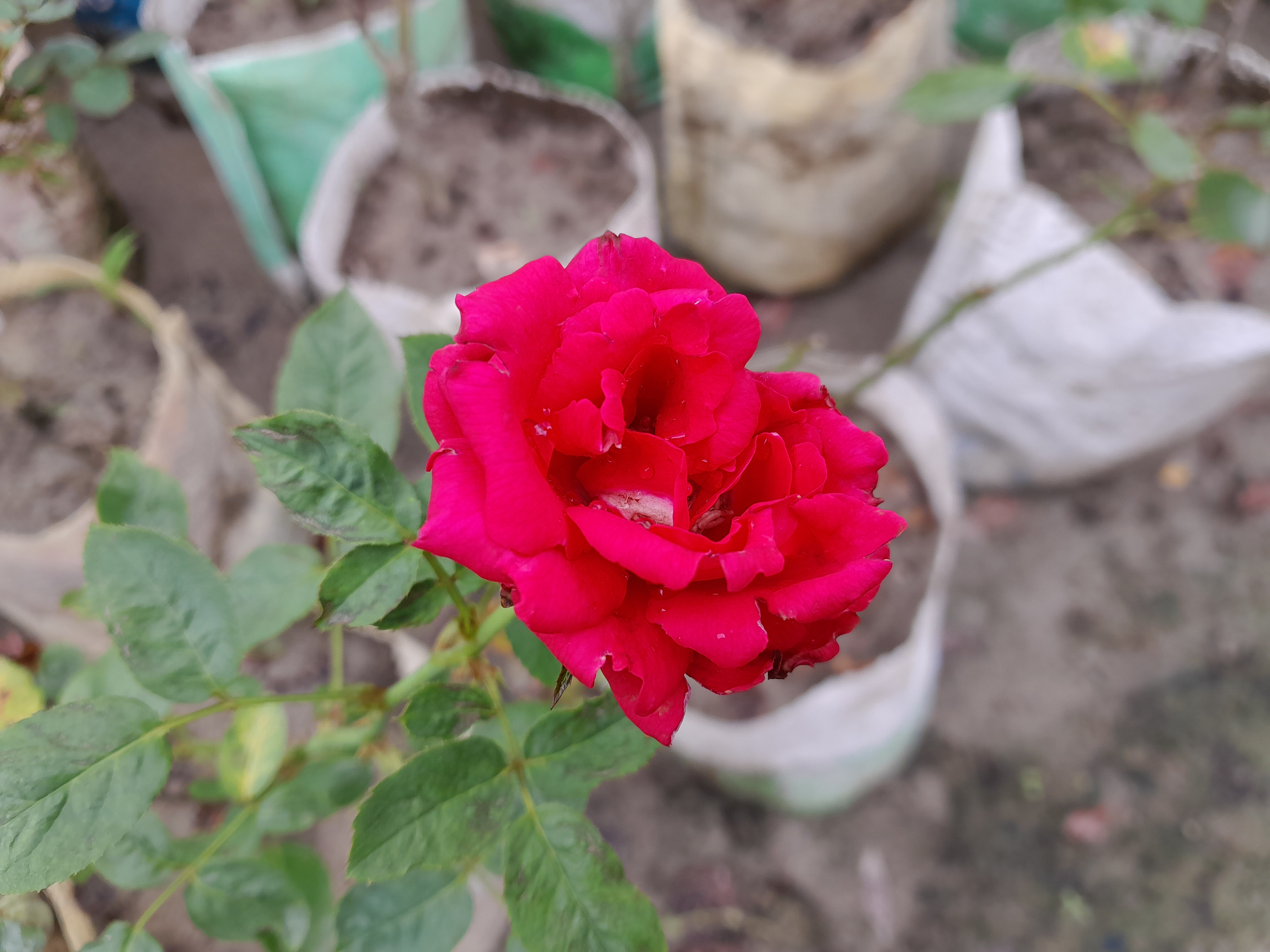 20230912_110224.jpg