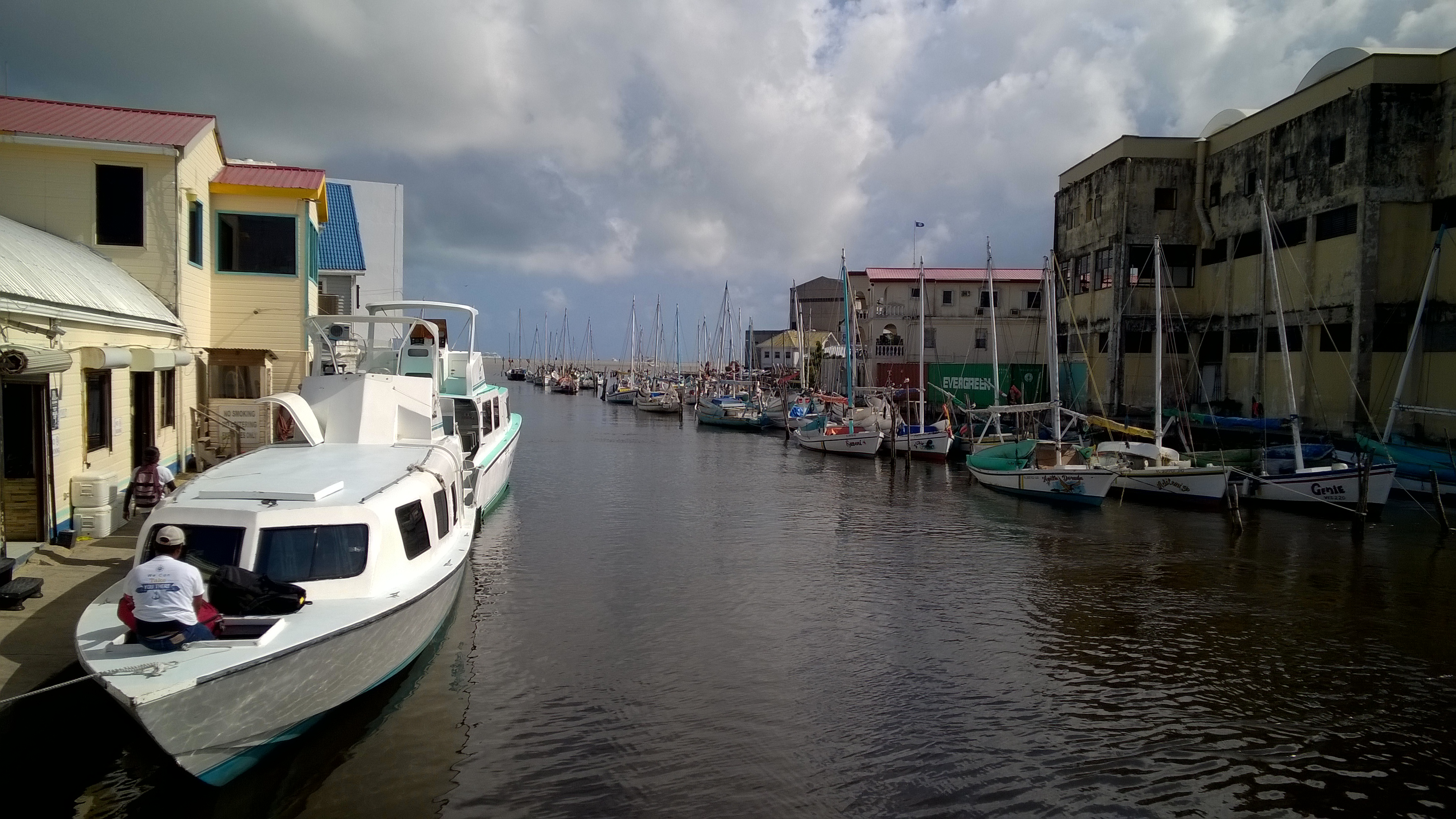 WP_20180215_001.jpg