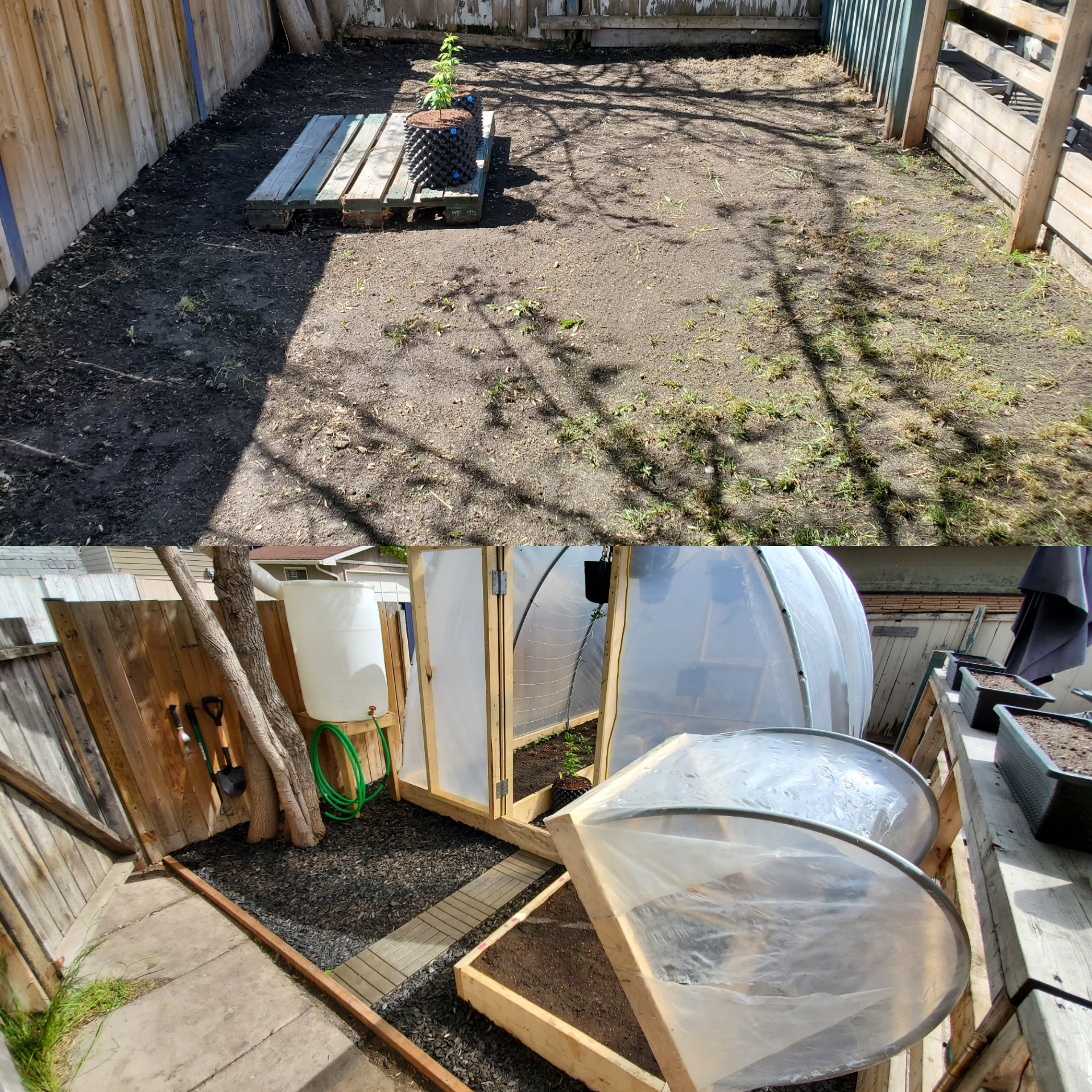 inCollage_20200602_170535251.jpg