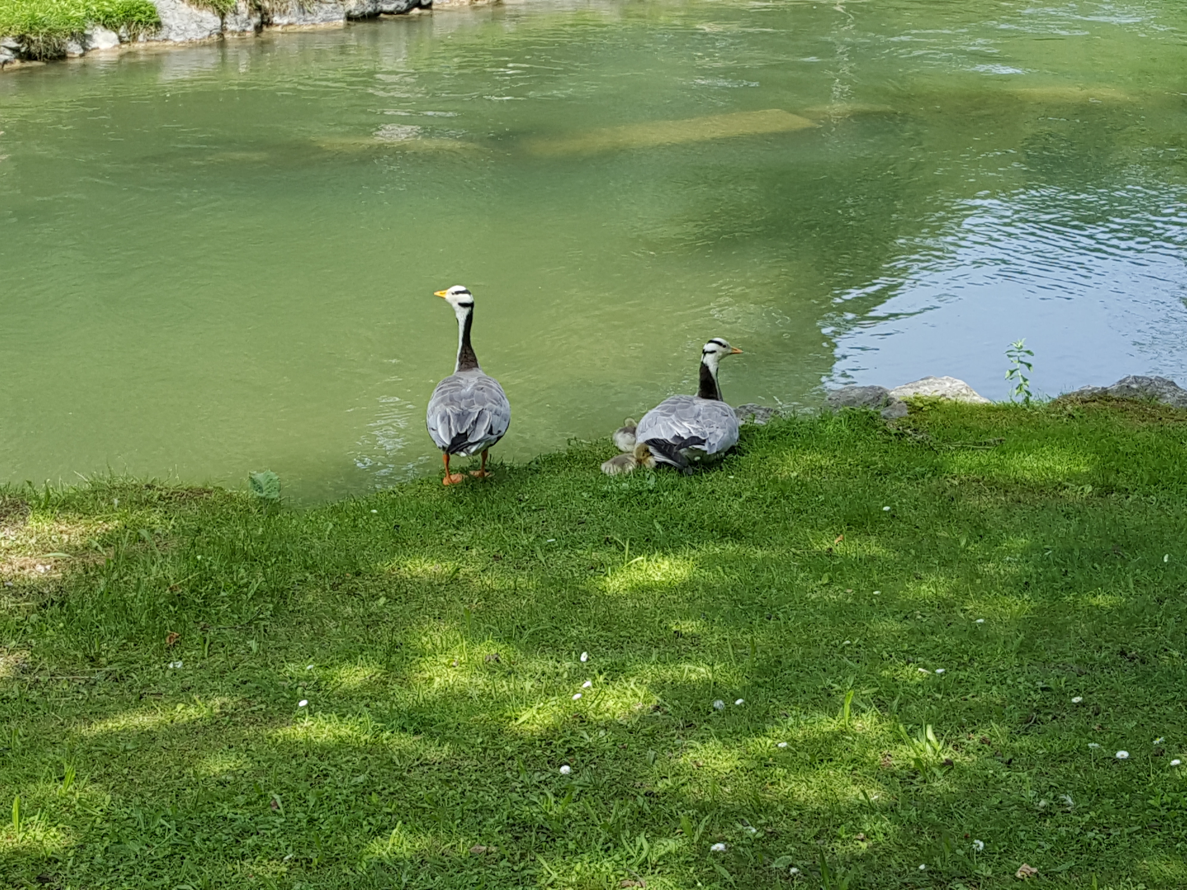 20180527_144558.jpg