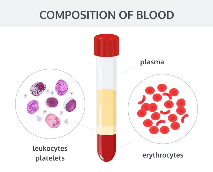 blood-analysis-test-tubes-blood-cells-erythrocytes-leukocytes-platelets_659801-340.jpg