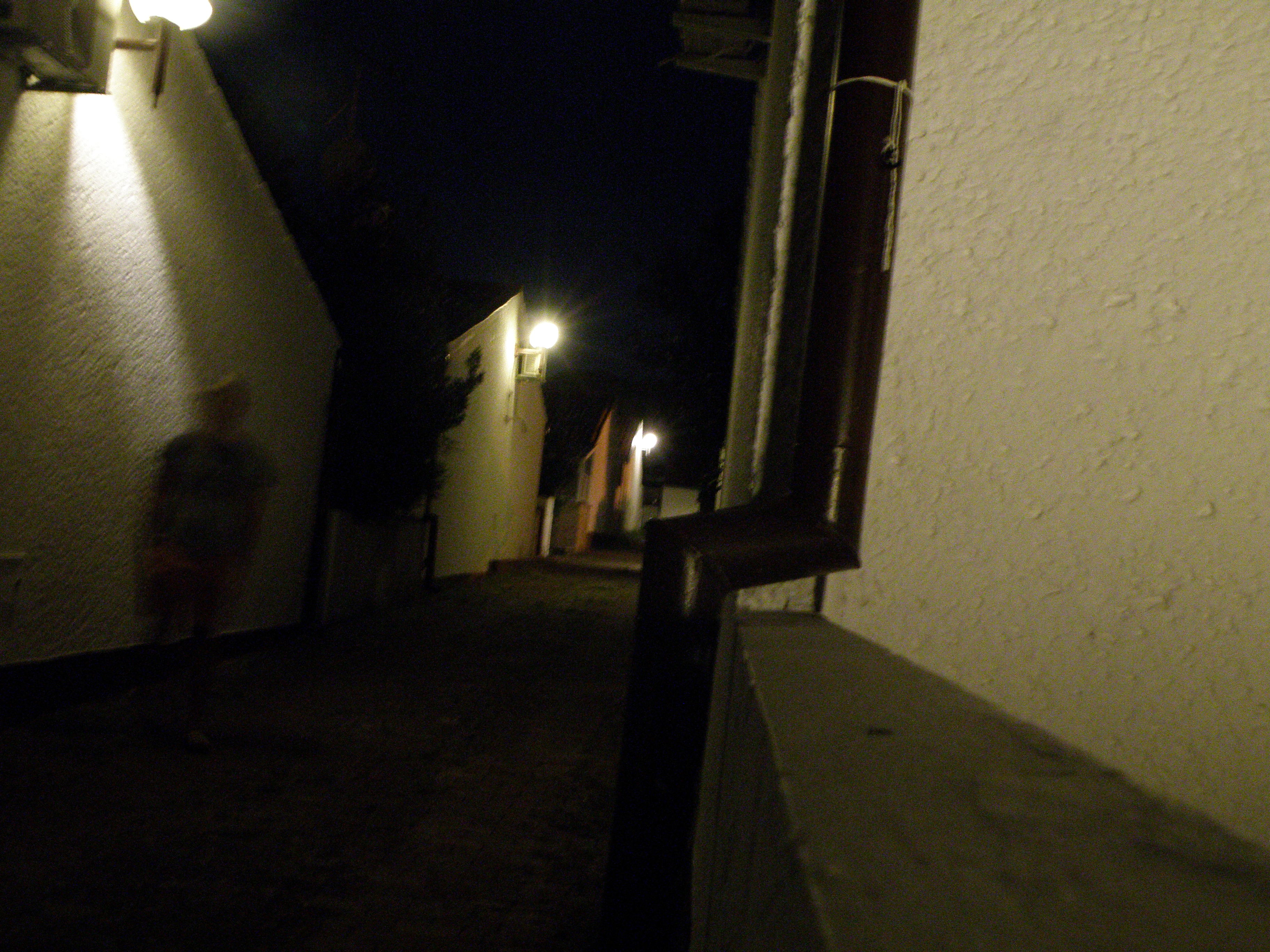 P1010391.JPG