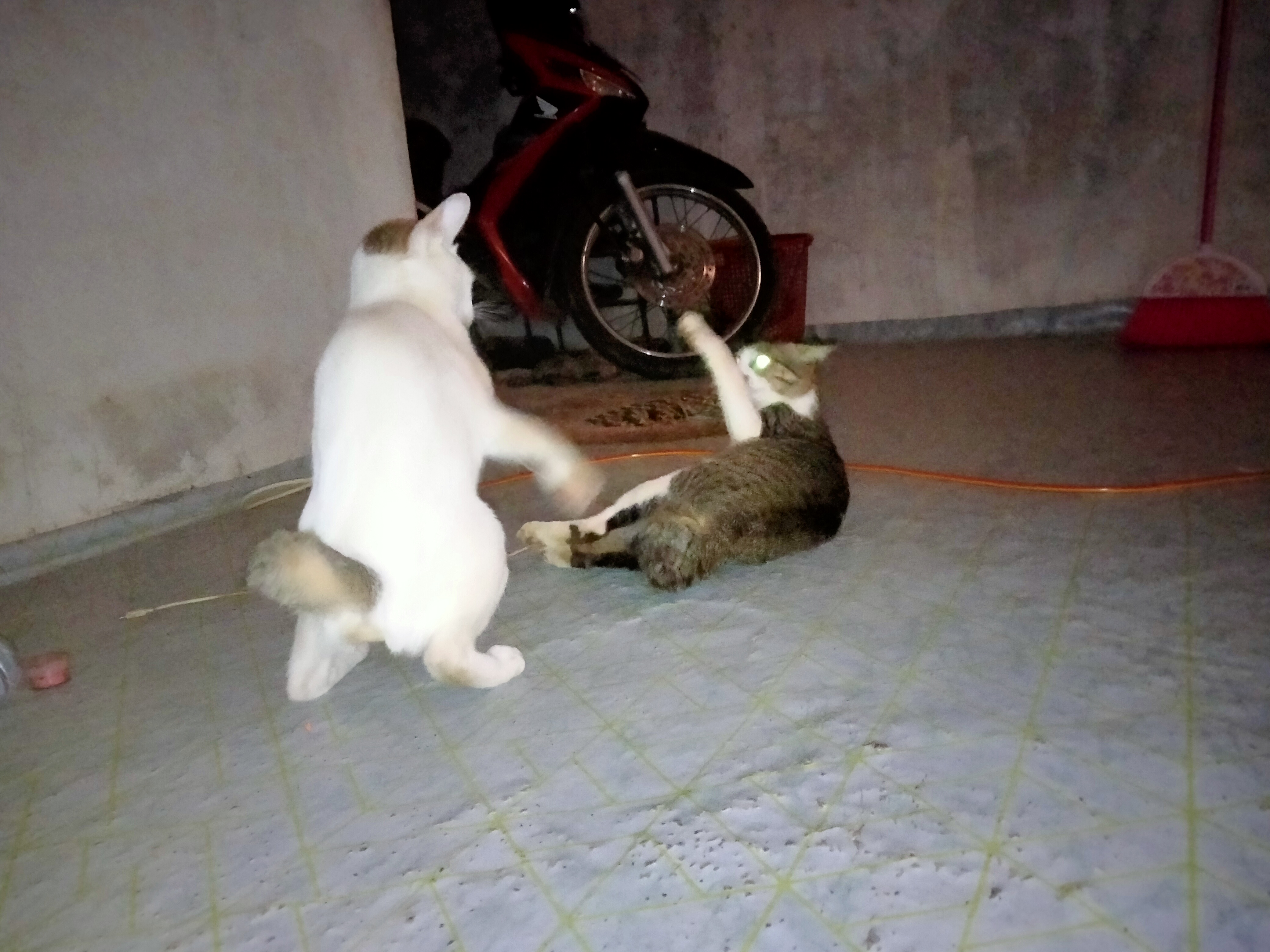 IMG20260525200944.jpg