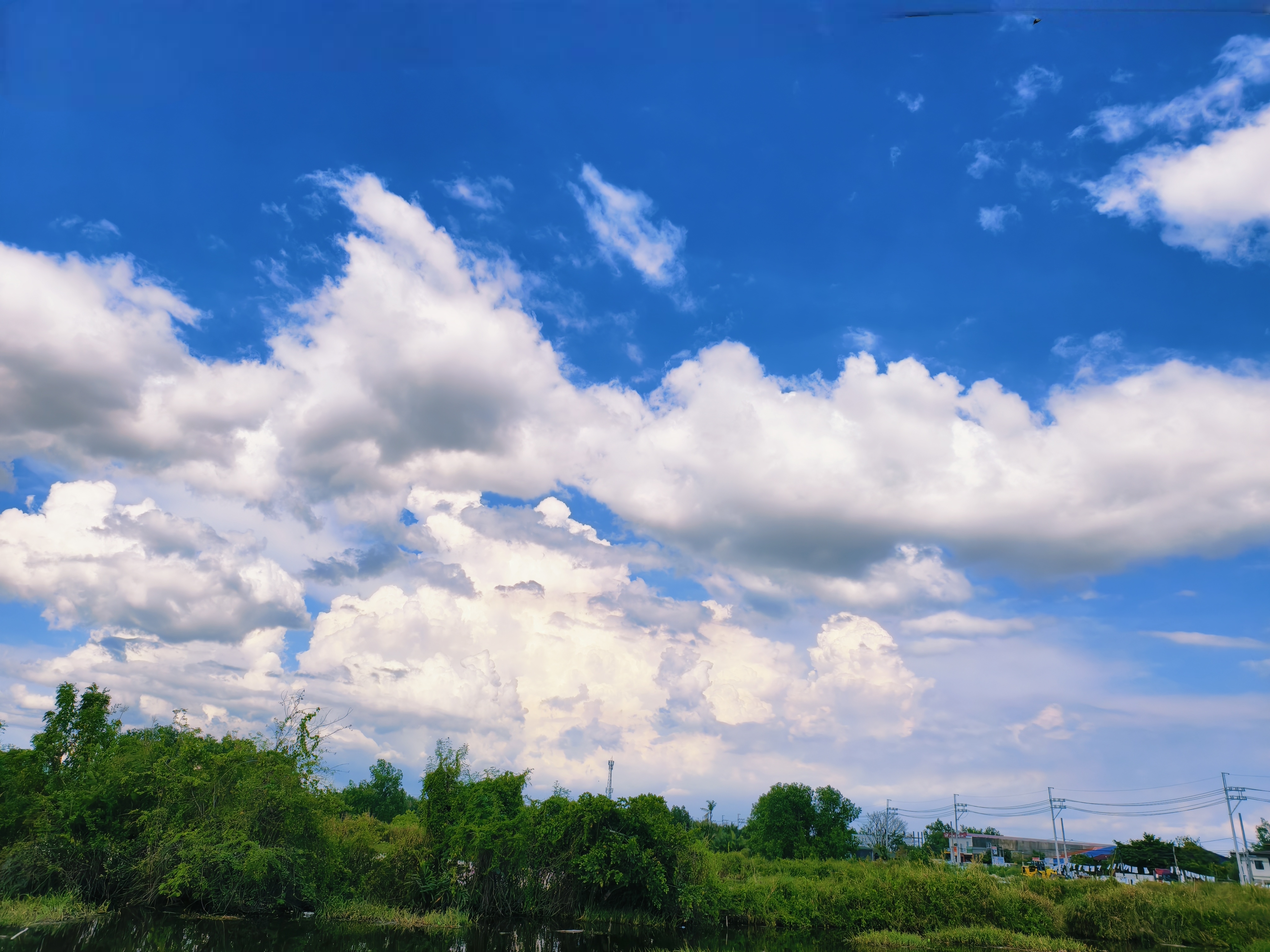IMG_20250515_103228.jpg