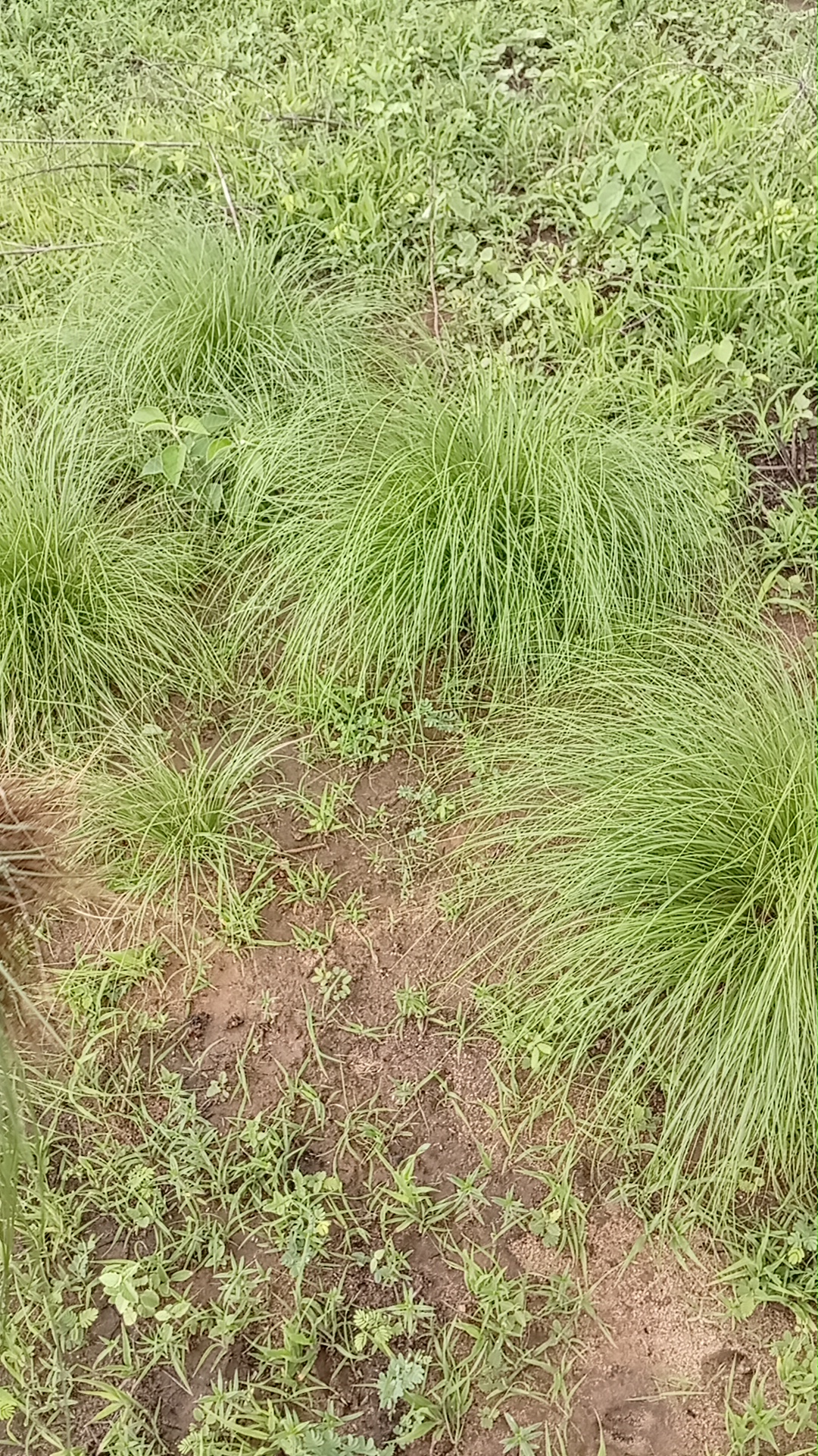 1000754701.jpg