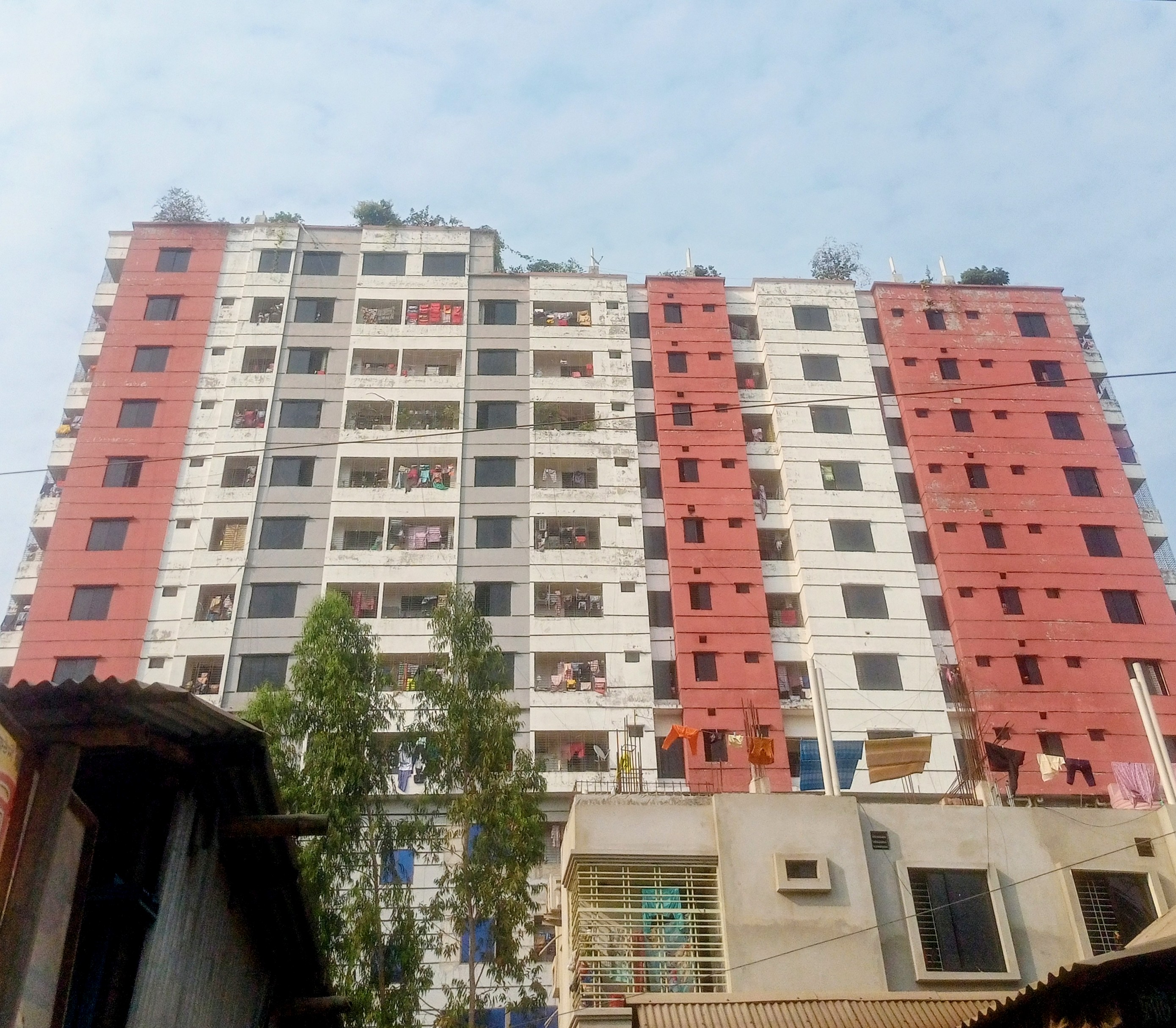 IMG20260220152619~2.jpg